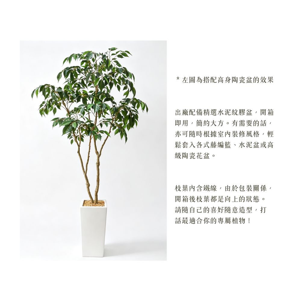114cm 仿真榕樹細葉榕盆栽 (水泥紋膠盆)|造型效果