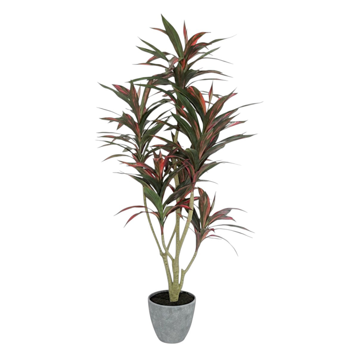 124cm 仿真巴西鐵樹中大型綠植盆栽 (水泥紋膠盆)|紅色