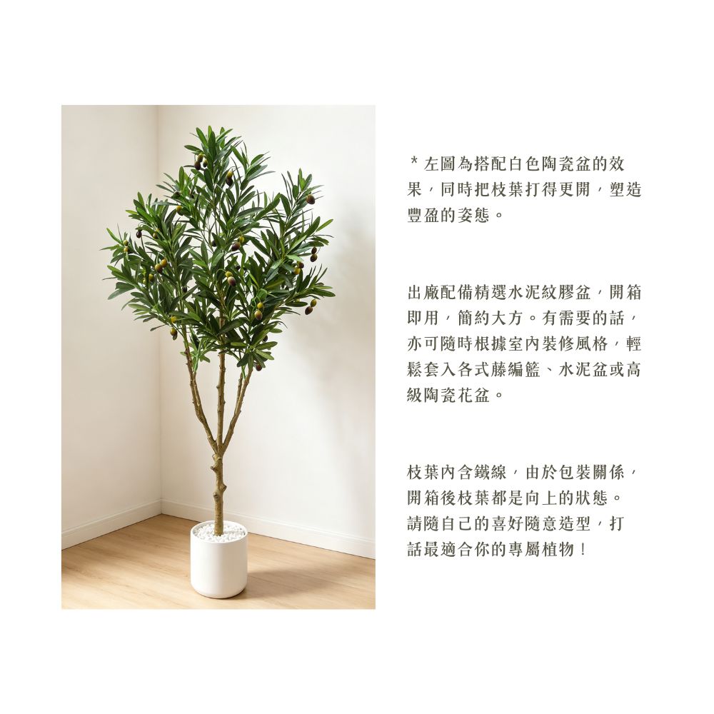 131cm 仿真橄欖樹大型綠植盆栽 (水泥紋膠盆)|造型效果