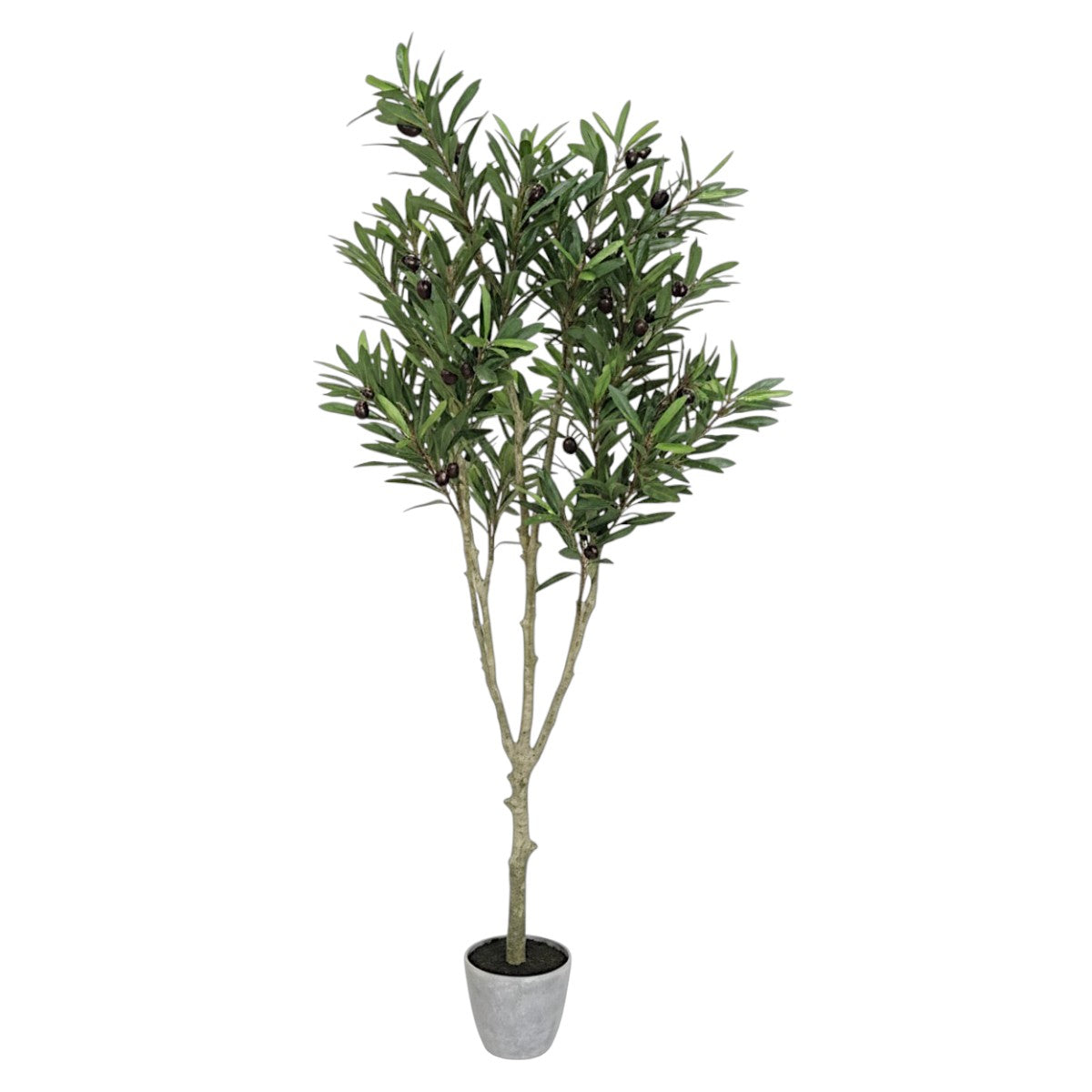 131cm 仿真橄欖樹大型綠植盆栽 (水泥紋膠盆)