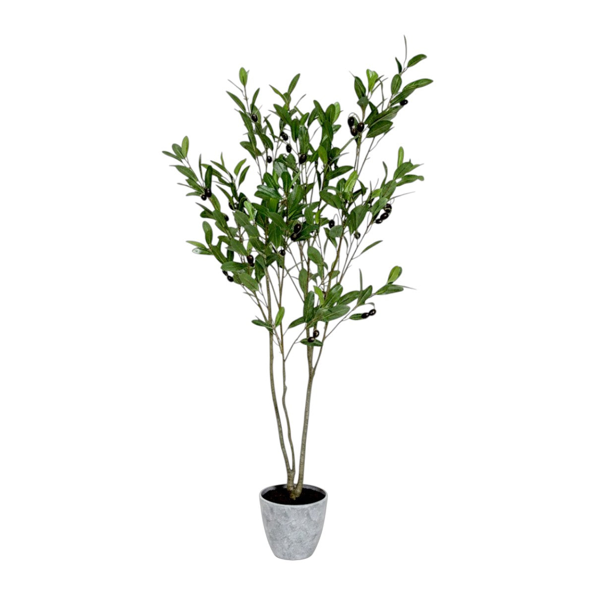 135cm 仿真橄欖樹中大型綠植盆栽 (水泥紋膠盆)