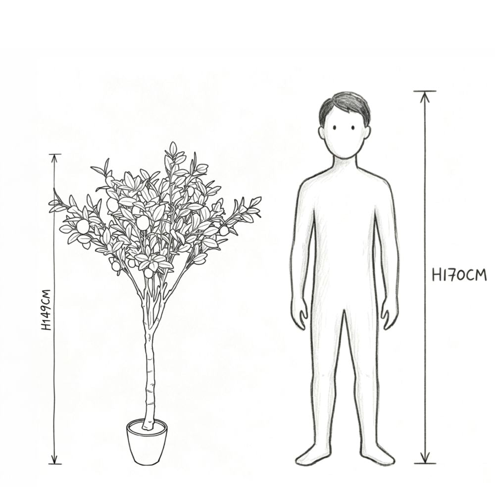 149cm 仿真檸檬樹大型綠植盆栽 (水泥紋膠盆)|實際比例圖