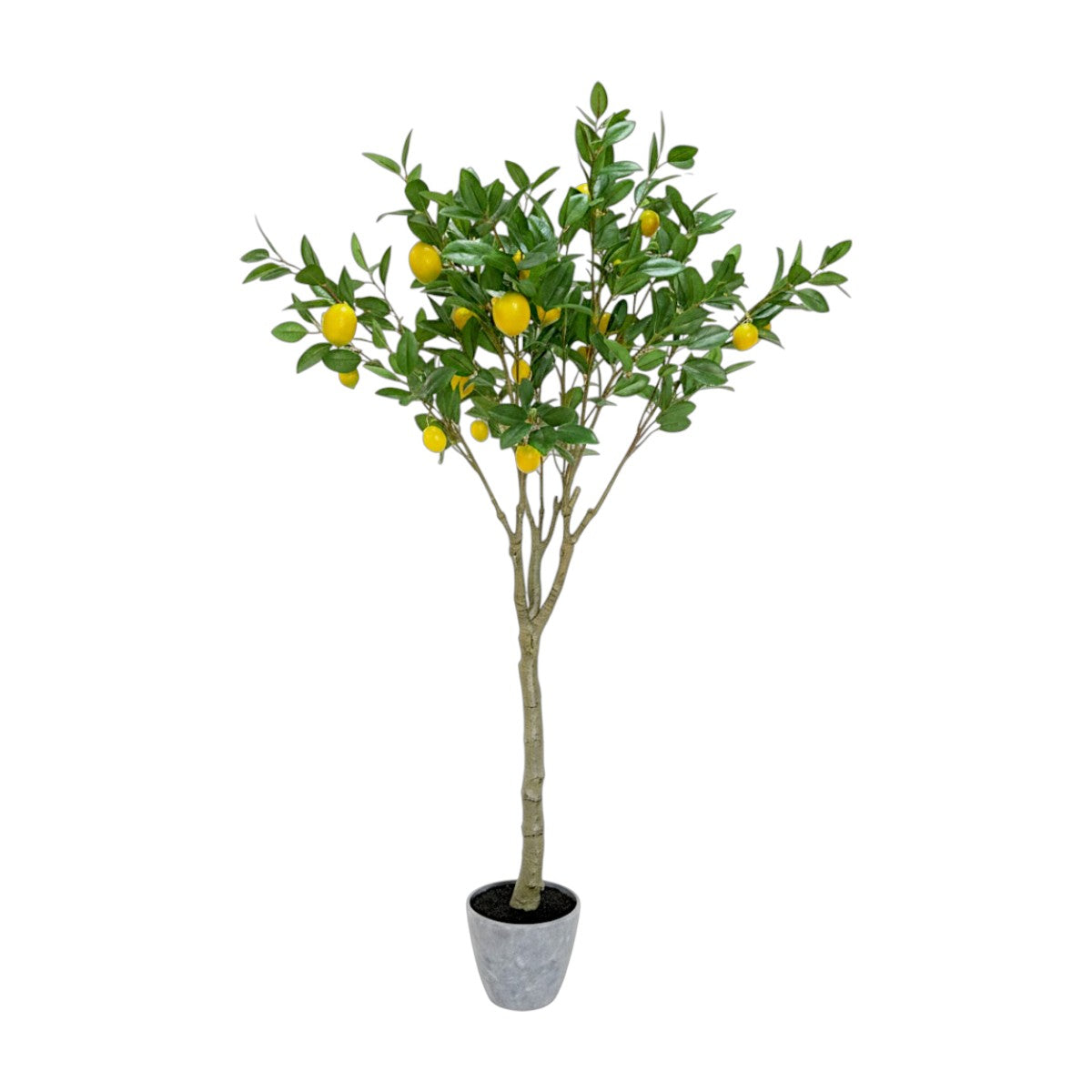 149cm 仿真檸檬樹大型綠植盆栽 (水泥紋膠盆)