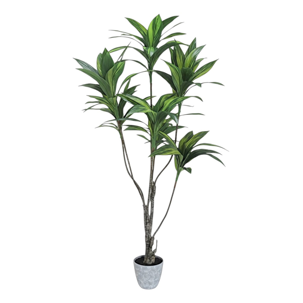 154cm 仿真巴西鐵樹大型綠植盆栽 (水泥紋膠盆)