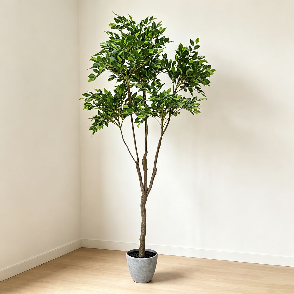 155cm 仿真榕樹大型綠植盆栽 (水泥紋膠盆)|北歐極簡風室內植物 Ficus Tree