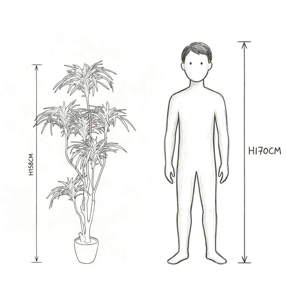 157cm 仿真千年木大型綠植盆栽 (水泥紋膠盆)|實際比例圖