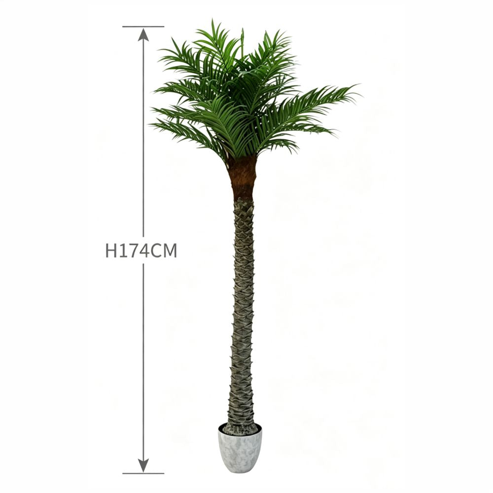 174cm 仿真海棗樹大型綠植盆栽 (水泥紋膠盆)|尺寸圖
