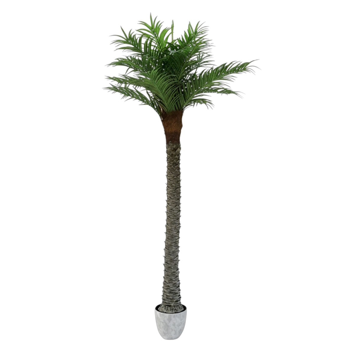 174cm 仿真海棗樹大型綠植盆栽 (水泥紋膠盆)