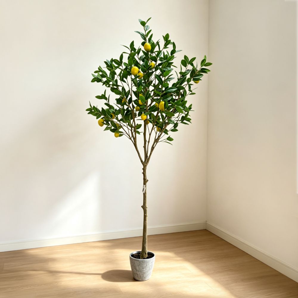 187cm 仿真檸檬樹大型綠植盆栽 (水泥紋膠盆)|地中海意式風室內植物 Lemon Tree