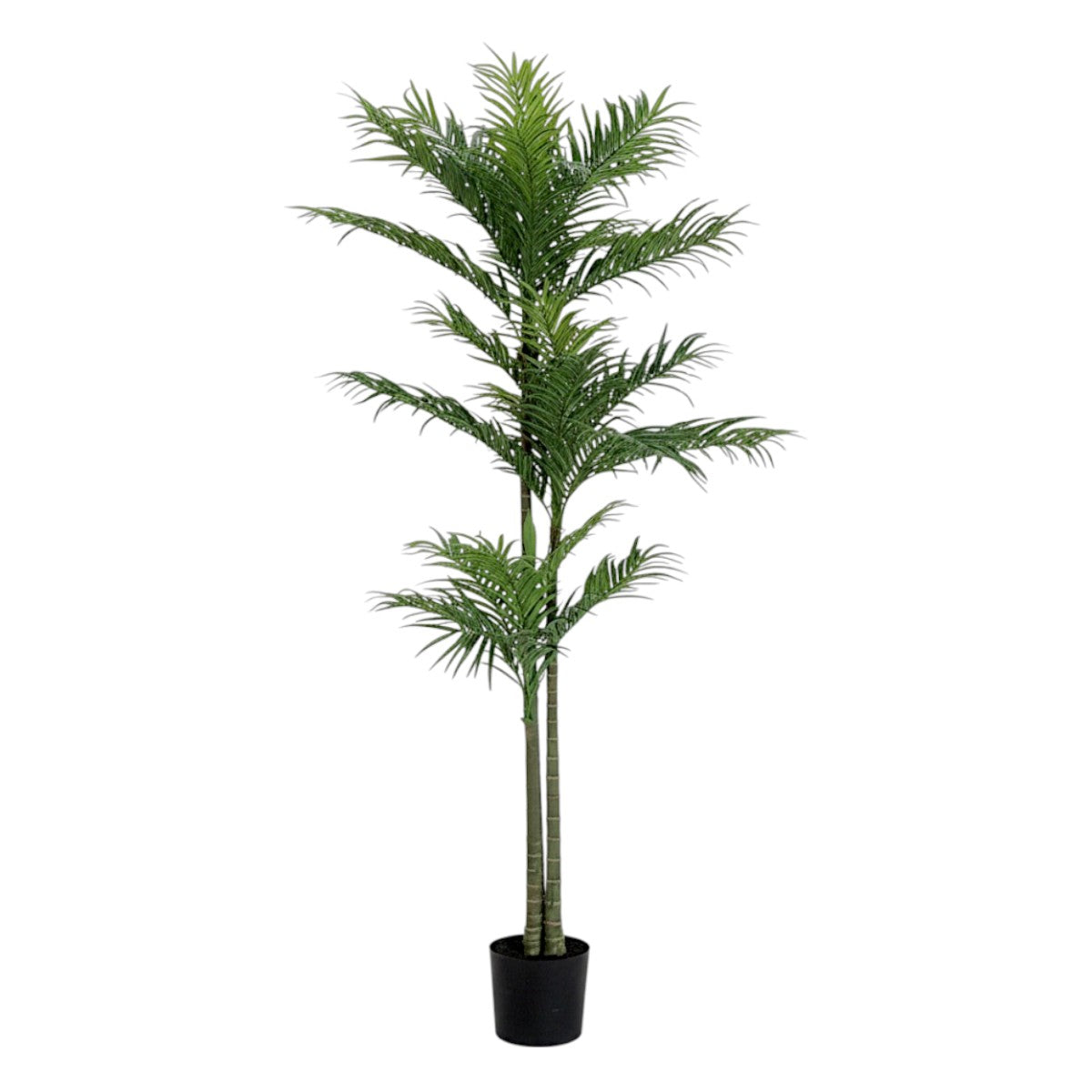 187cm 仿真棕櫚樹大型綠植盆栽 (黑膠盆)