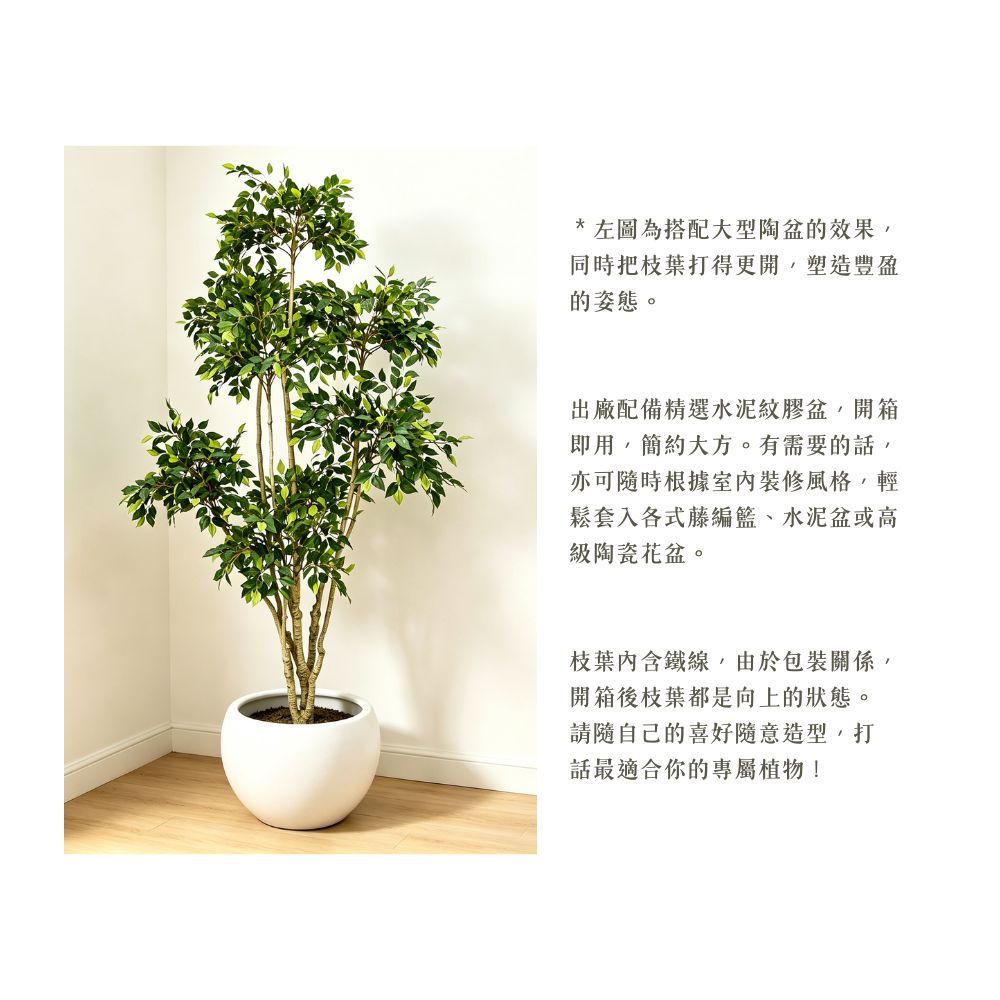 192cm 仿真榕樹大型綠植盆栽 (水泥紋膠盆)|造型效果