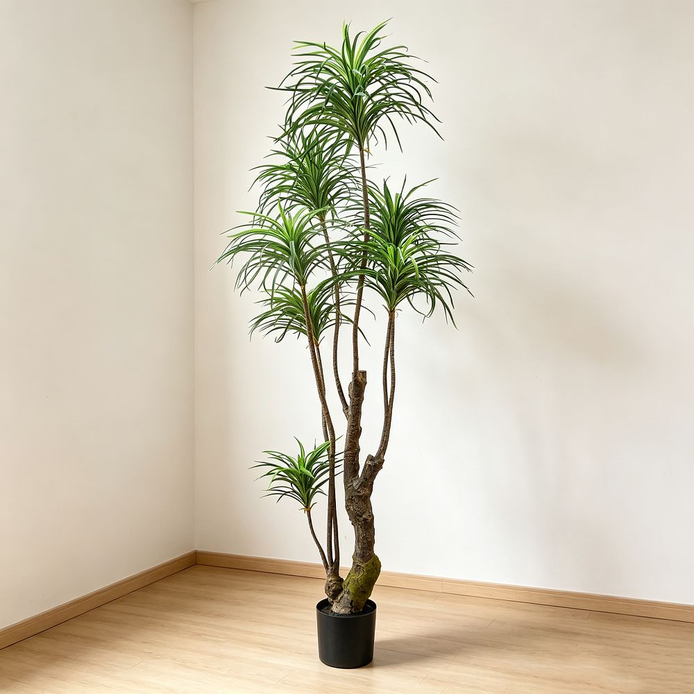 220cm 仿真龍血樹大型綠植盆栽 (黑膠盆)|造型效果