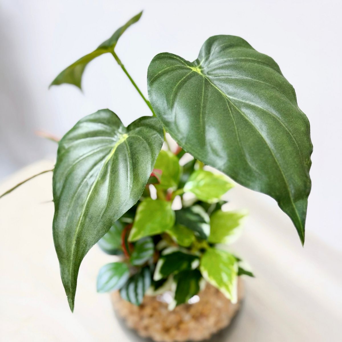 23cm 仿真五彩芋玻璃盆栽 | 蔓綠絨,葉片特寫