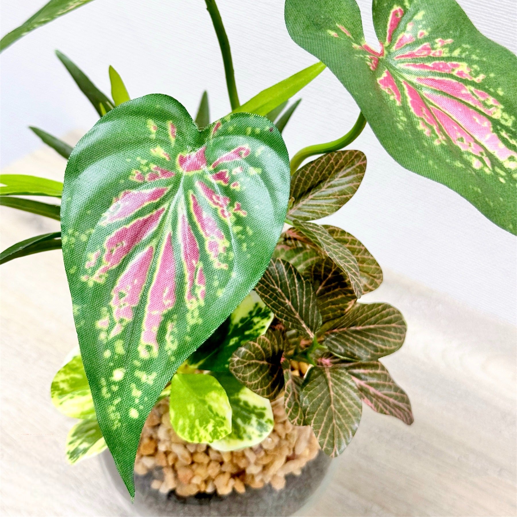 23cm 仿真五彩芋玻璃盆栽 | 彩葉芋,葉片特寫