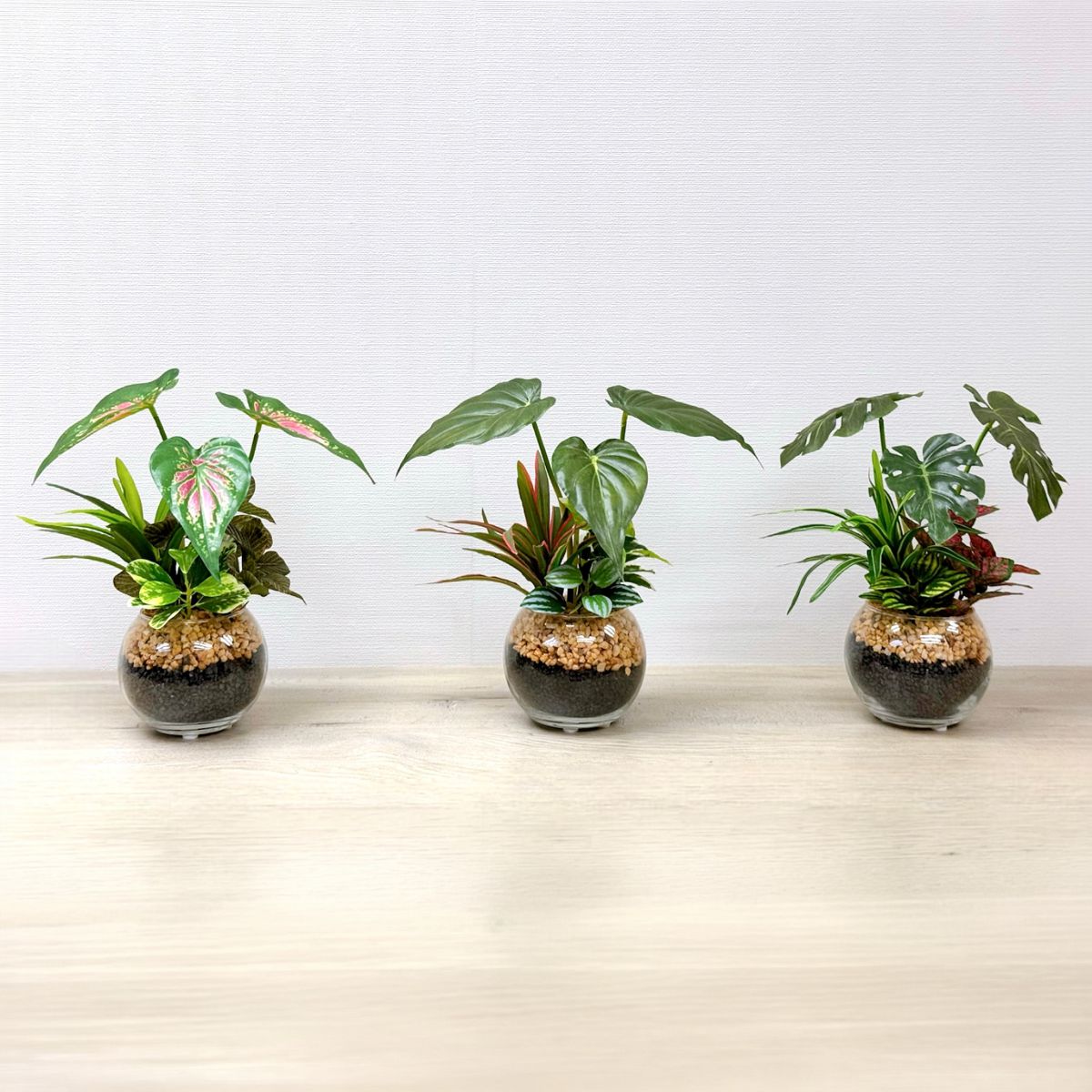 23cm 仿真五彩芋玻璃盆栽 | 北歐風人造植物 辦公室桌面裝飾 Caladium & Mini Leaf