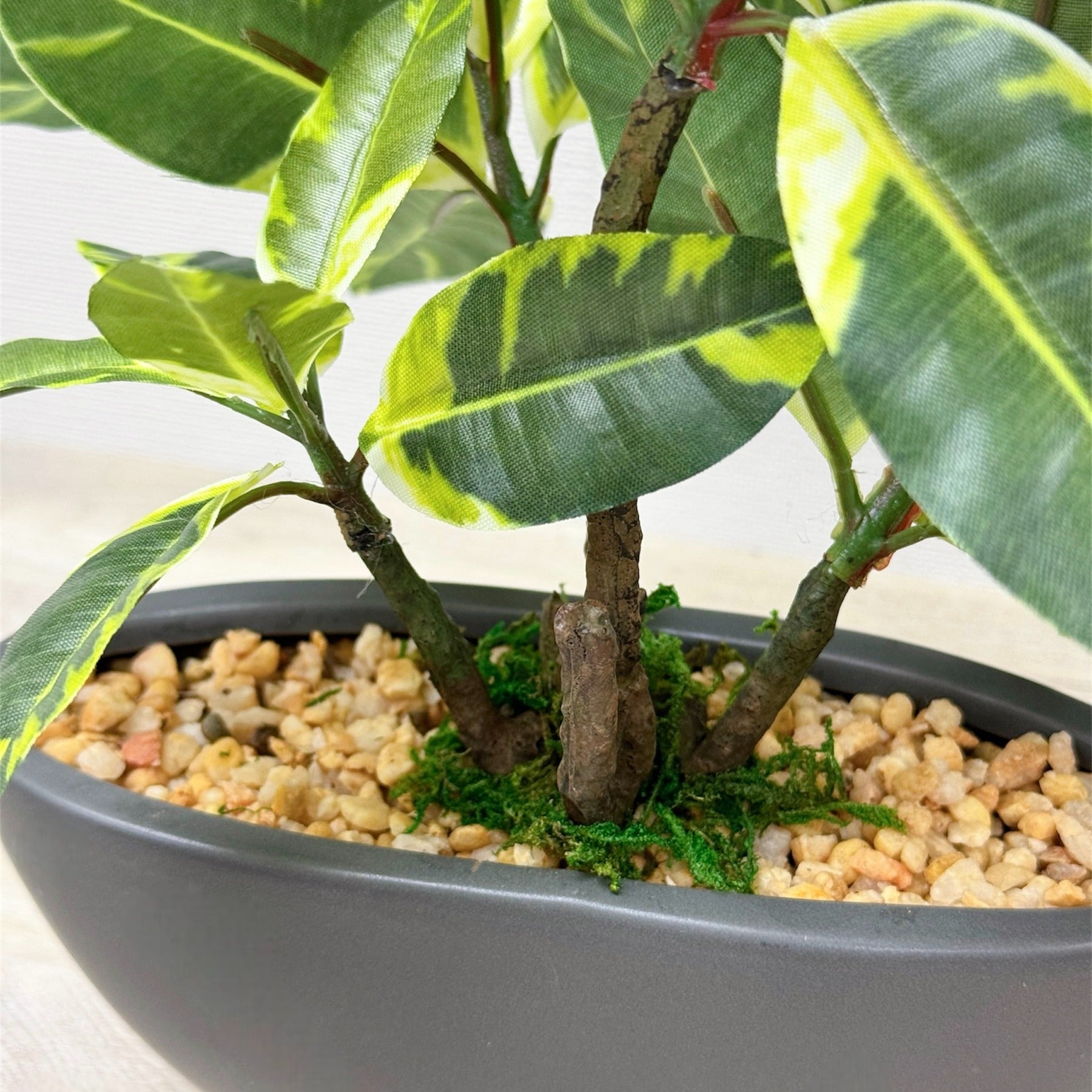 30cm 仿真橡葉陶瓷盆栽 | 花葉灰盆,枝杆特寫