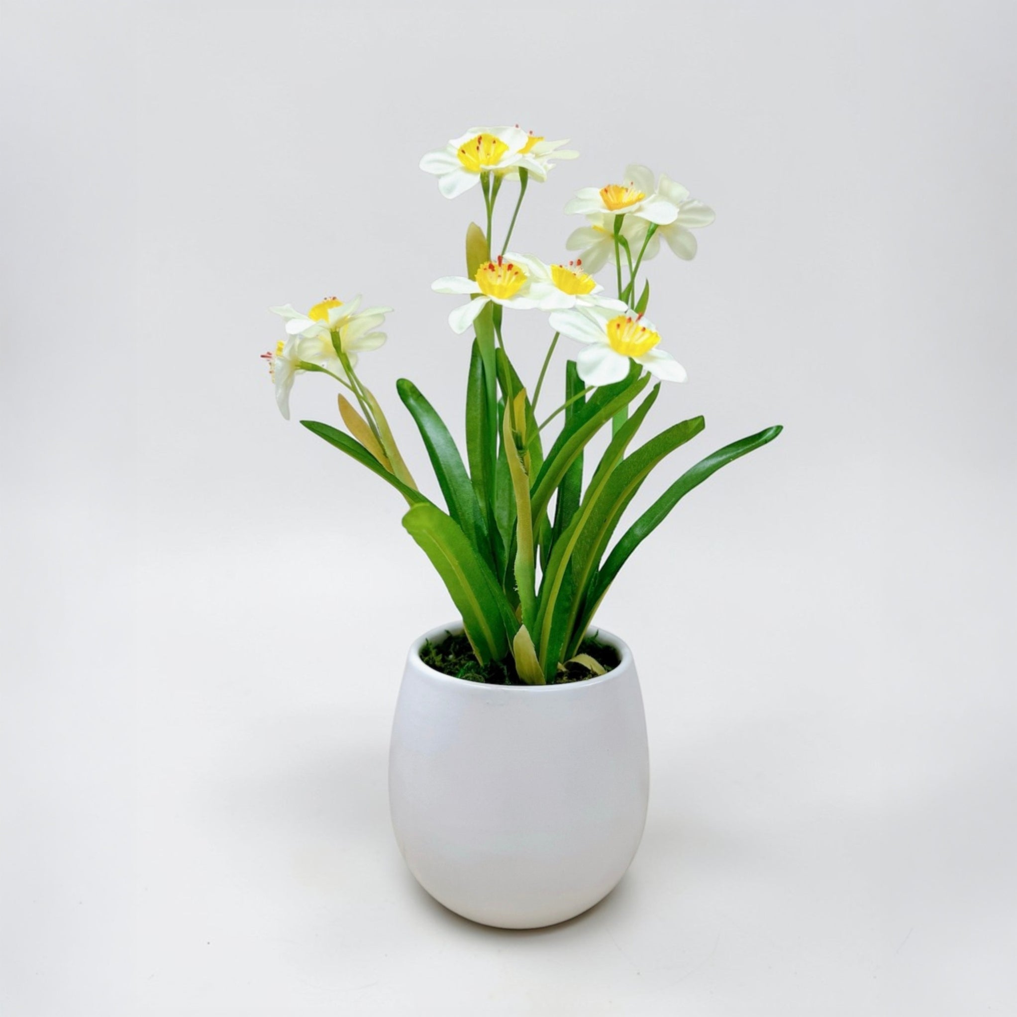 31cm 仿真水仙花陶瓷盆栽 | 白花白盆