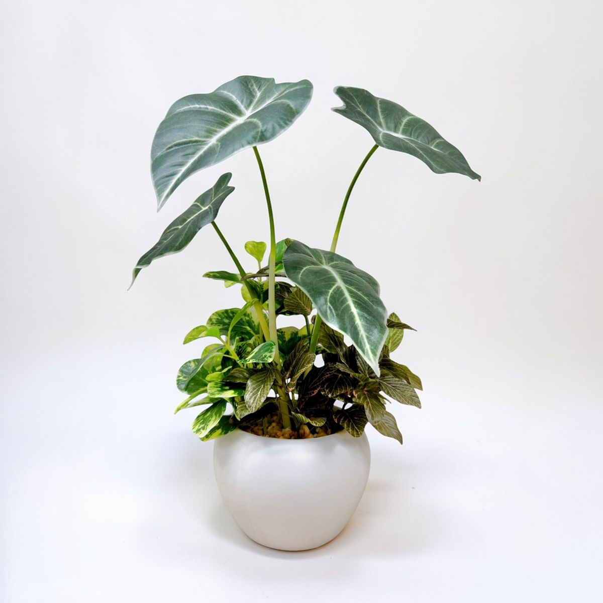 32cm 仿真黑葉海芋盆栽