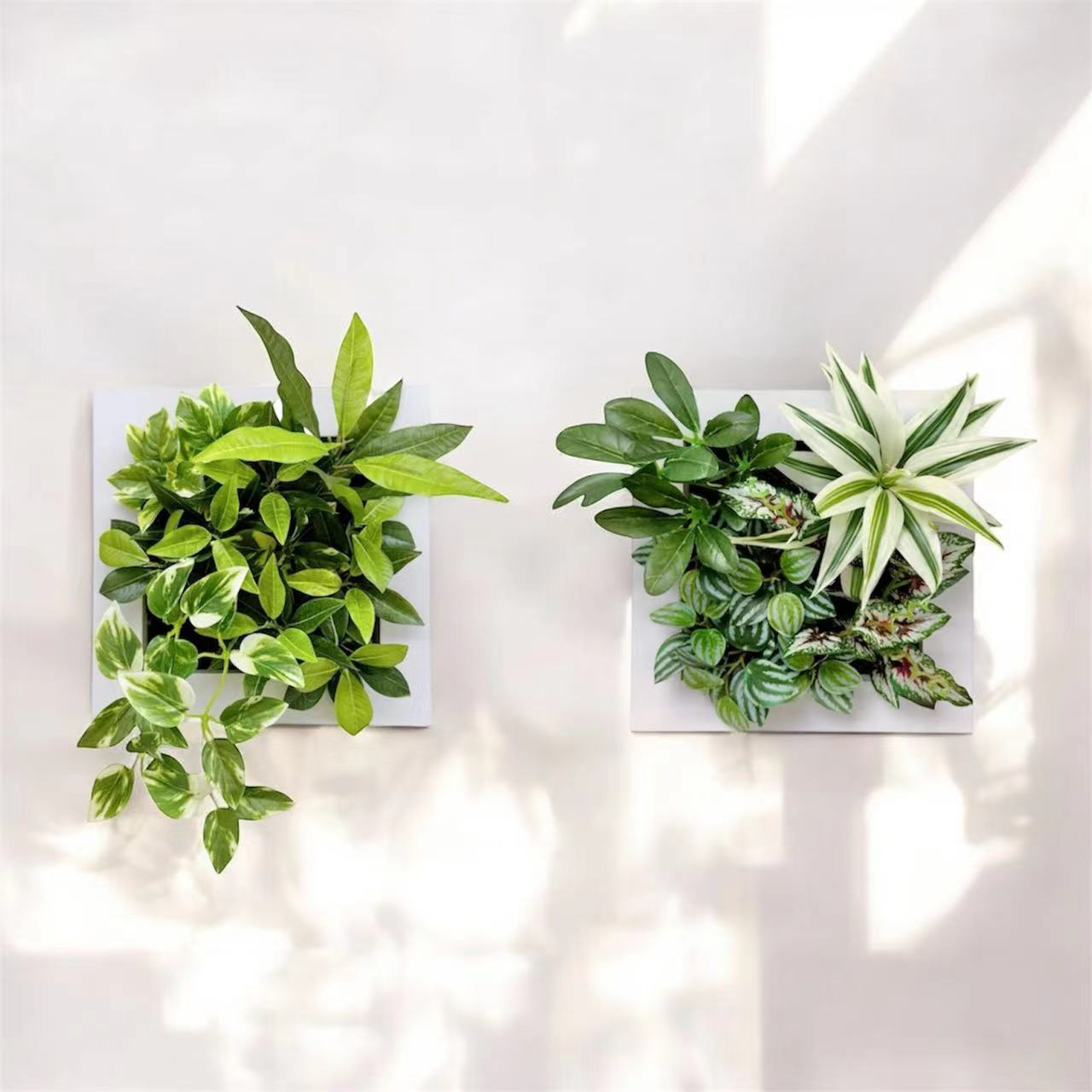 25x25cm 仿真雜葉掛牆畫框2件組 Wall Frame with Assorted Leaf  (Set of 2)