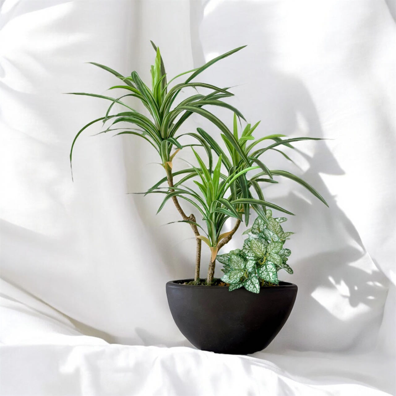 51cm 仿真龍血蘭搭配迷你葉盆栽 Dracaena & Mini Leaf