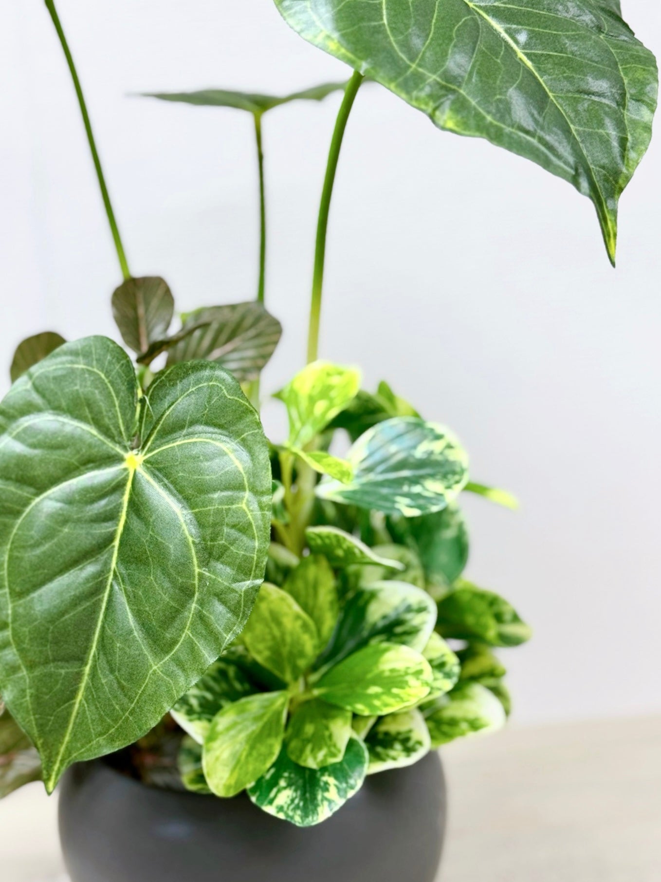 【香港現貨】仿真黑葉海芋盆栽 (32cm) | 銀白葉脈 質感小盆栽 Alocasia - Midoria