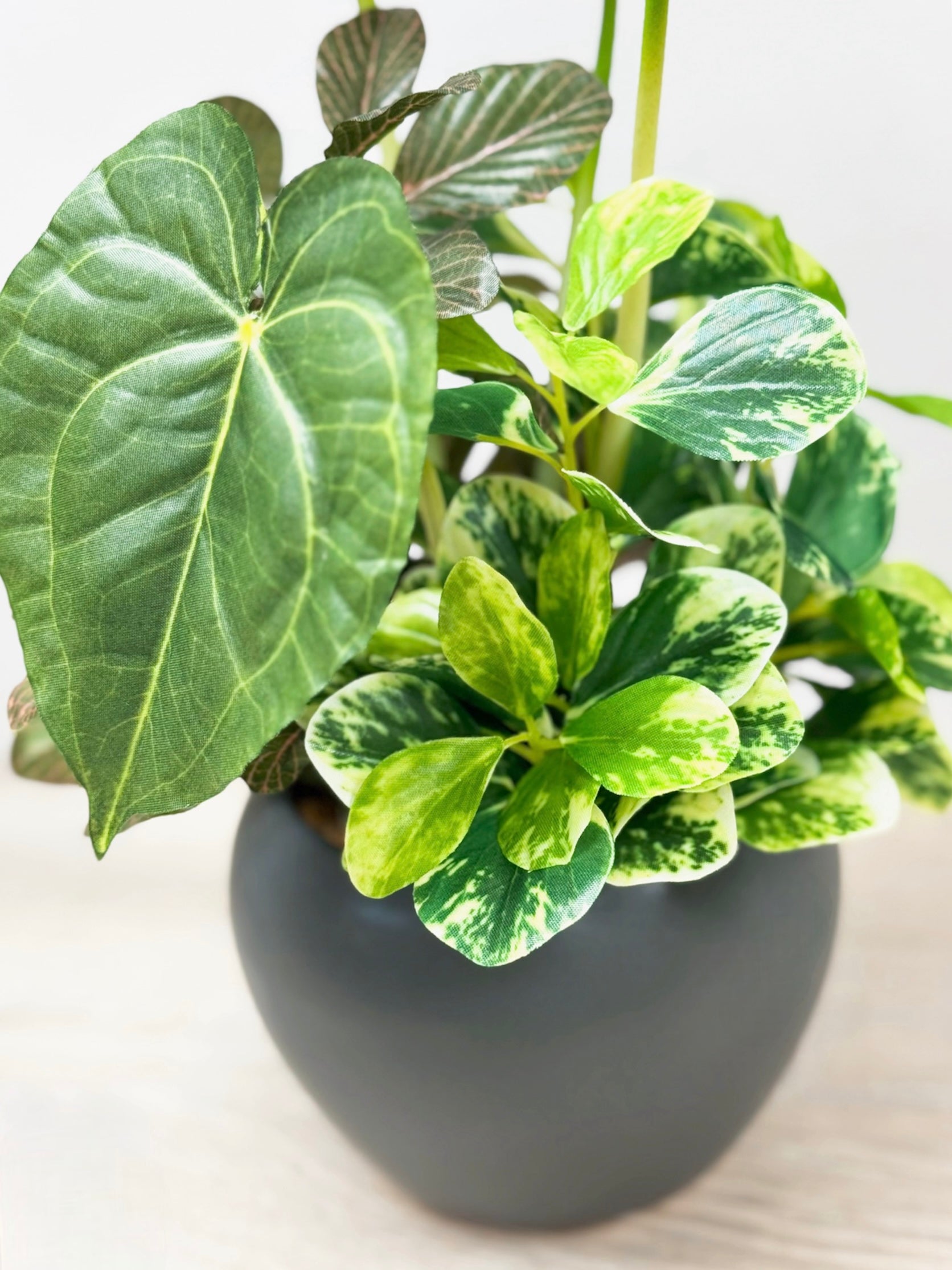 【香港現貨】仿真黑葉海芋盆栽 (32cm) | 銀白葉脈 質感小盆栽 Alocasia - Midoria