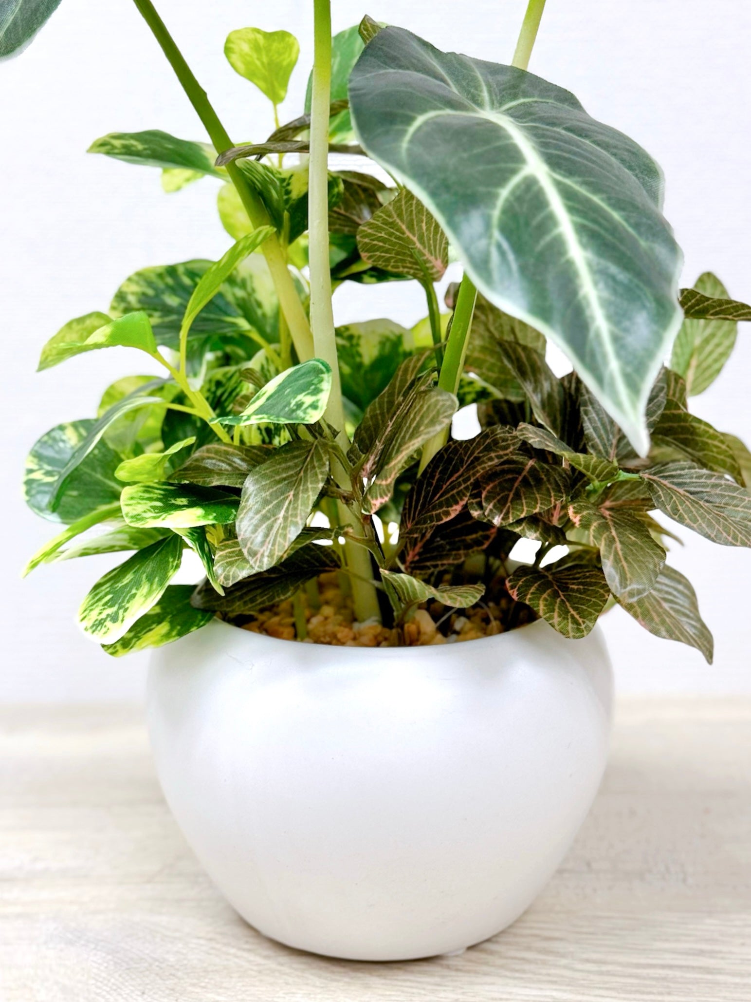 【香港現貨】仿真黑葉海芋盆栽 (32cm) | 銀白葉脈 質感小盆栽 Alocasia - Midoria