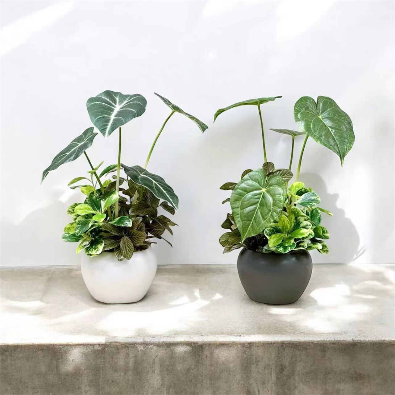 32cm 仿真海芋搭配迷你葉盆栽 Alocosia & Mini Leaf