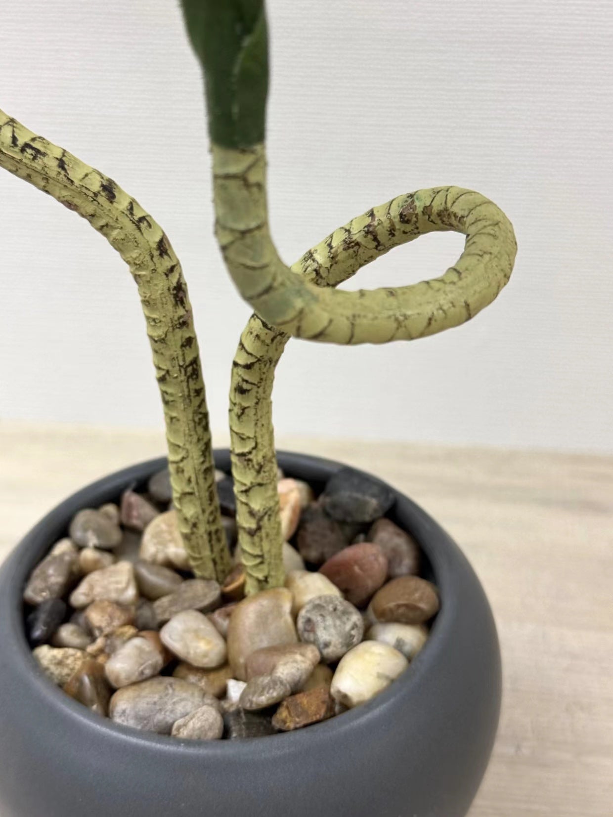 【香港現貨】仿真龍血蘭陶瓷盆栽 (39cm) | 日系極簡禪意 扭曲枝幹造型 Dracaena - Midoria