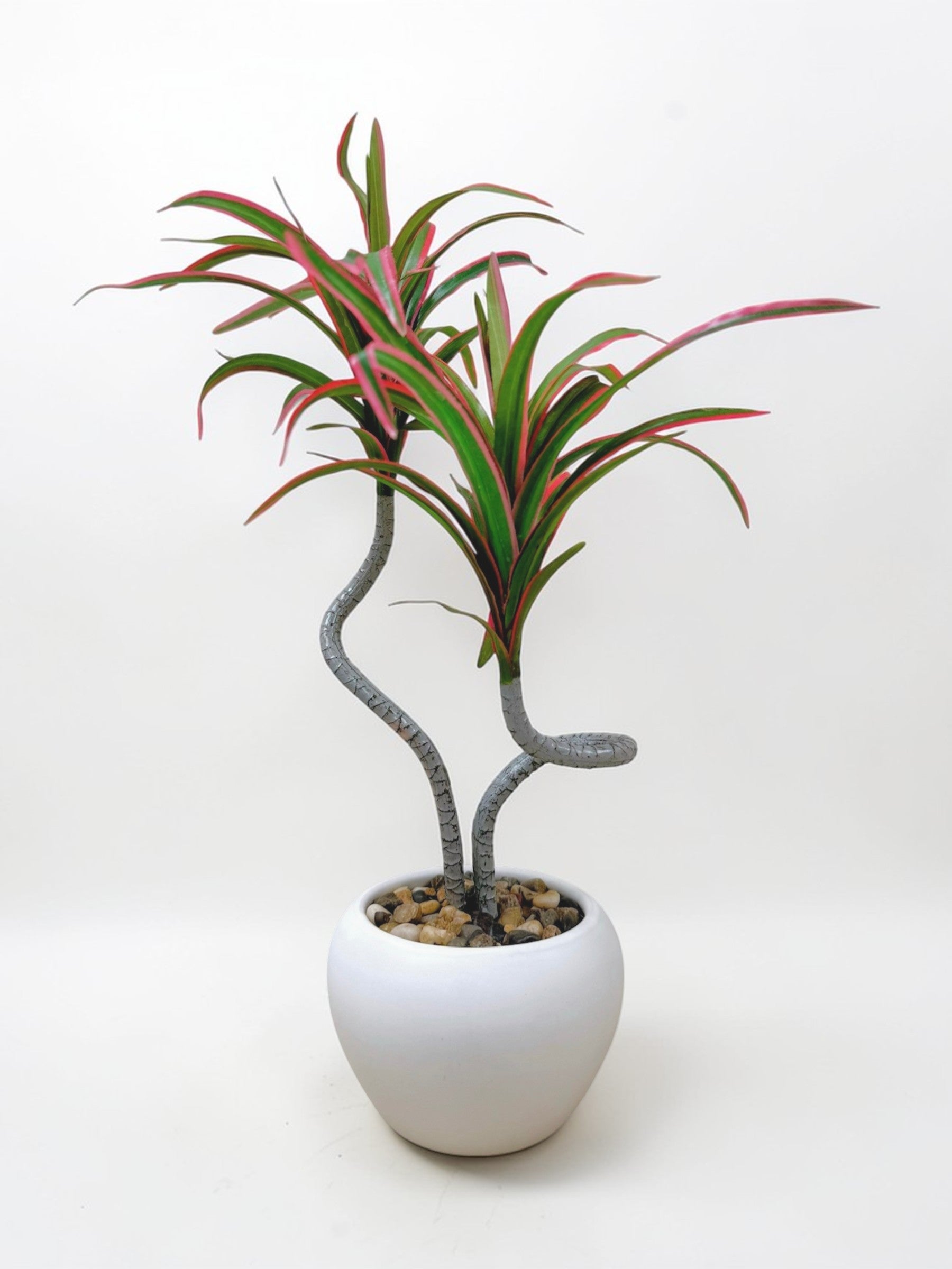 【香港現貨】仿真龍血蘭陶瓷盆栽 (39cm) | 日系極簡禪意 扭曲枝幹造型 Dracaena - Midoria