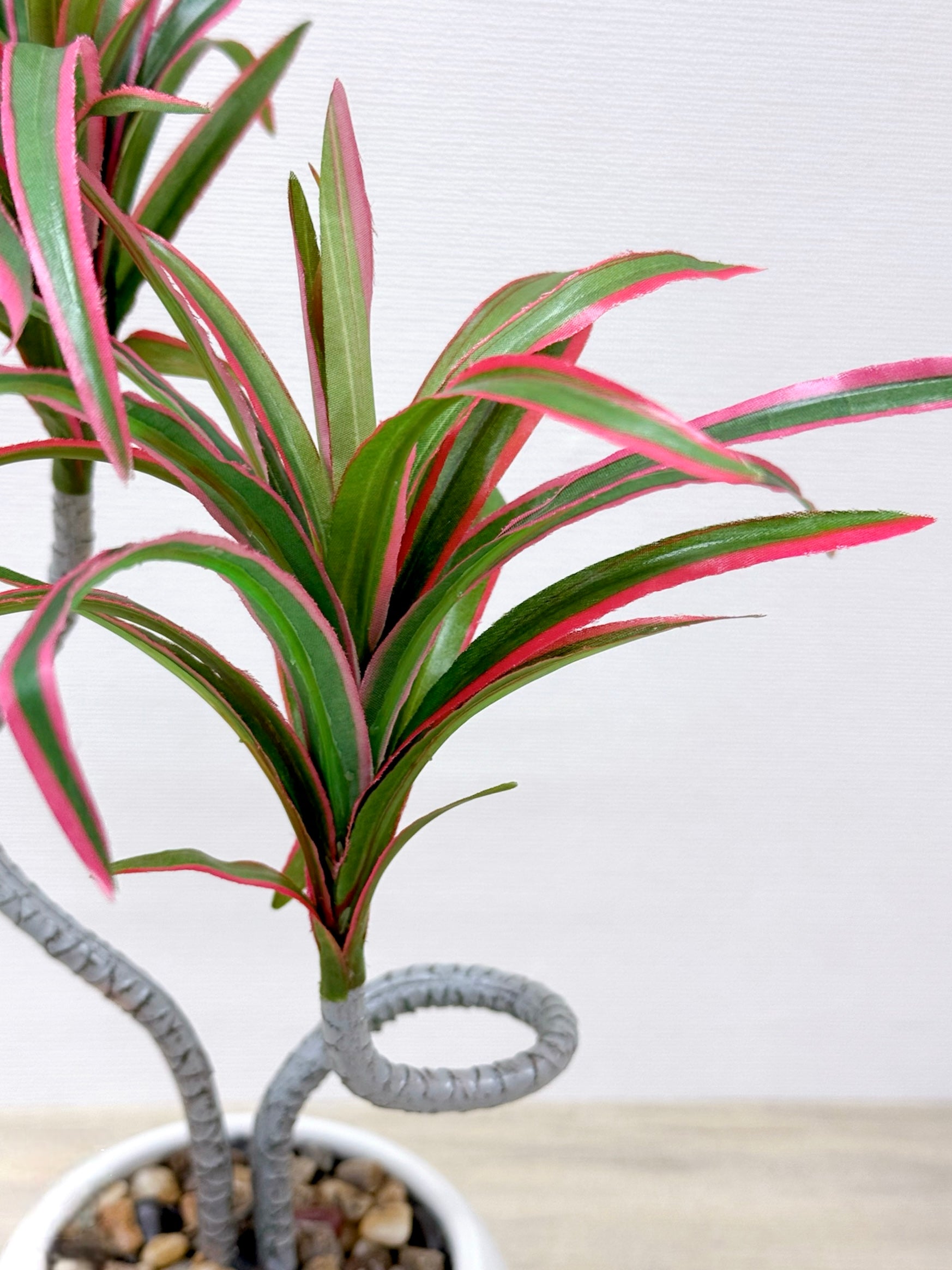 【香港現貨】仿真龍血蘭陶瓷盆栽 (39cm) | 日系極簡禪意 扭曲枝幹造型 Dracaena - Midoria