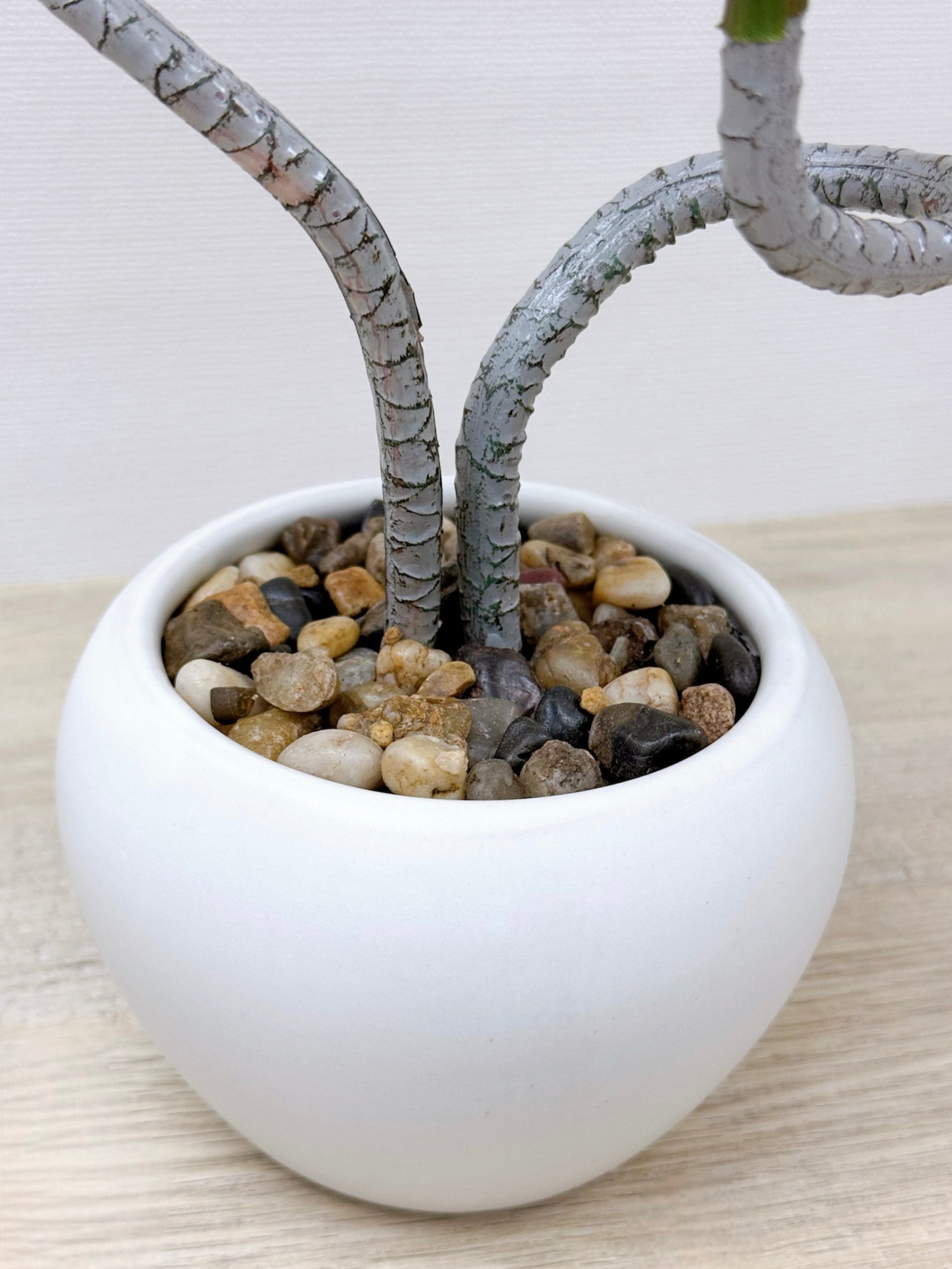 【香港現貨】仿真龍血蘭陶瓷盆栽 (39cm) | 日系極簡禪意 扭曲枝幹造型 Dracaena - Midoria