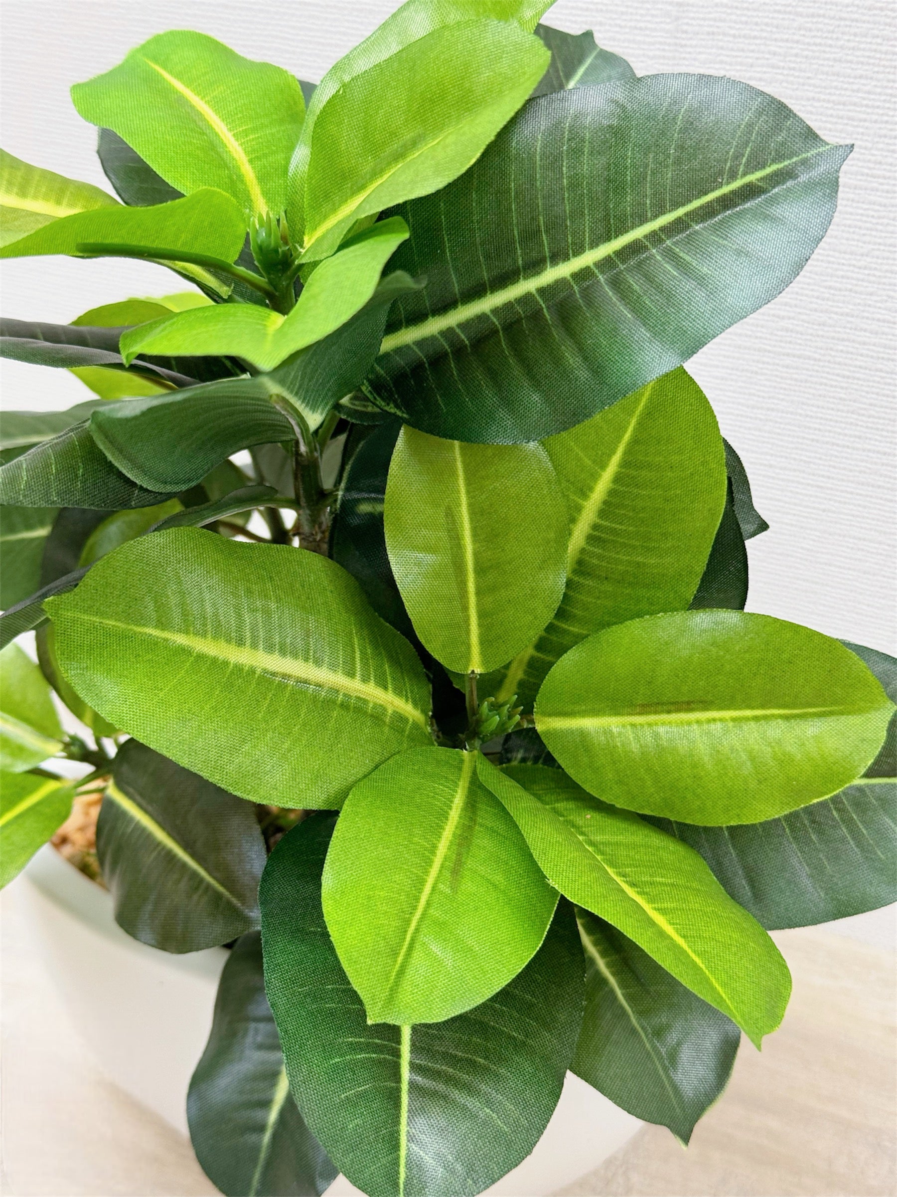 【香港現貨】仿真橡葉陶瓷盆栽 (30cm) | 半月型設計盆 現代居家裝飾 Ficus Elastica - Midoria