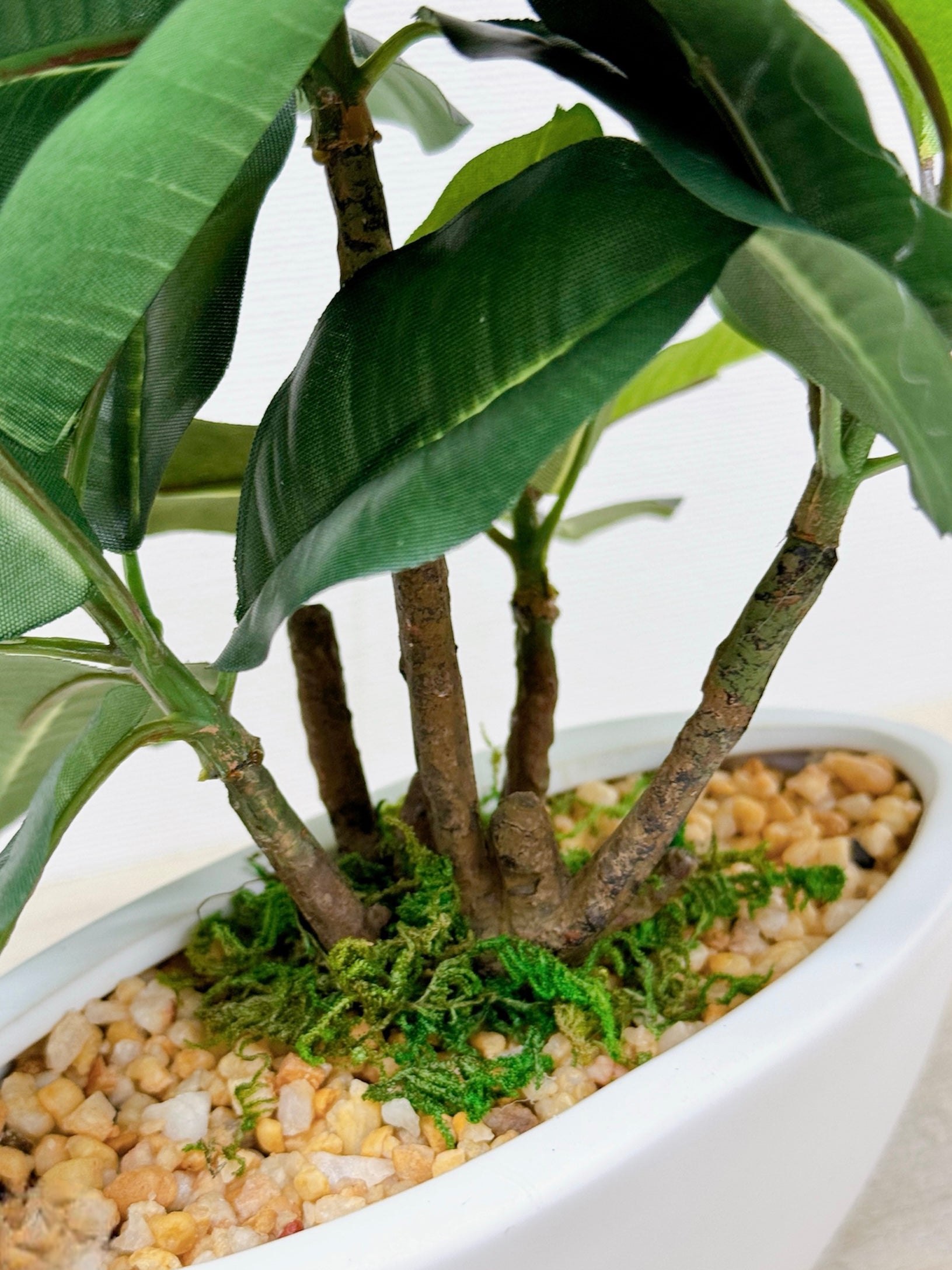 【香港現貨】仿真橡葉陶瓷盆栽 (30cm) | 半月型設計盆 現代居家裝飾 Ficus Elastica - Midoria
