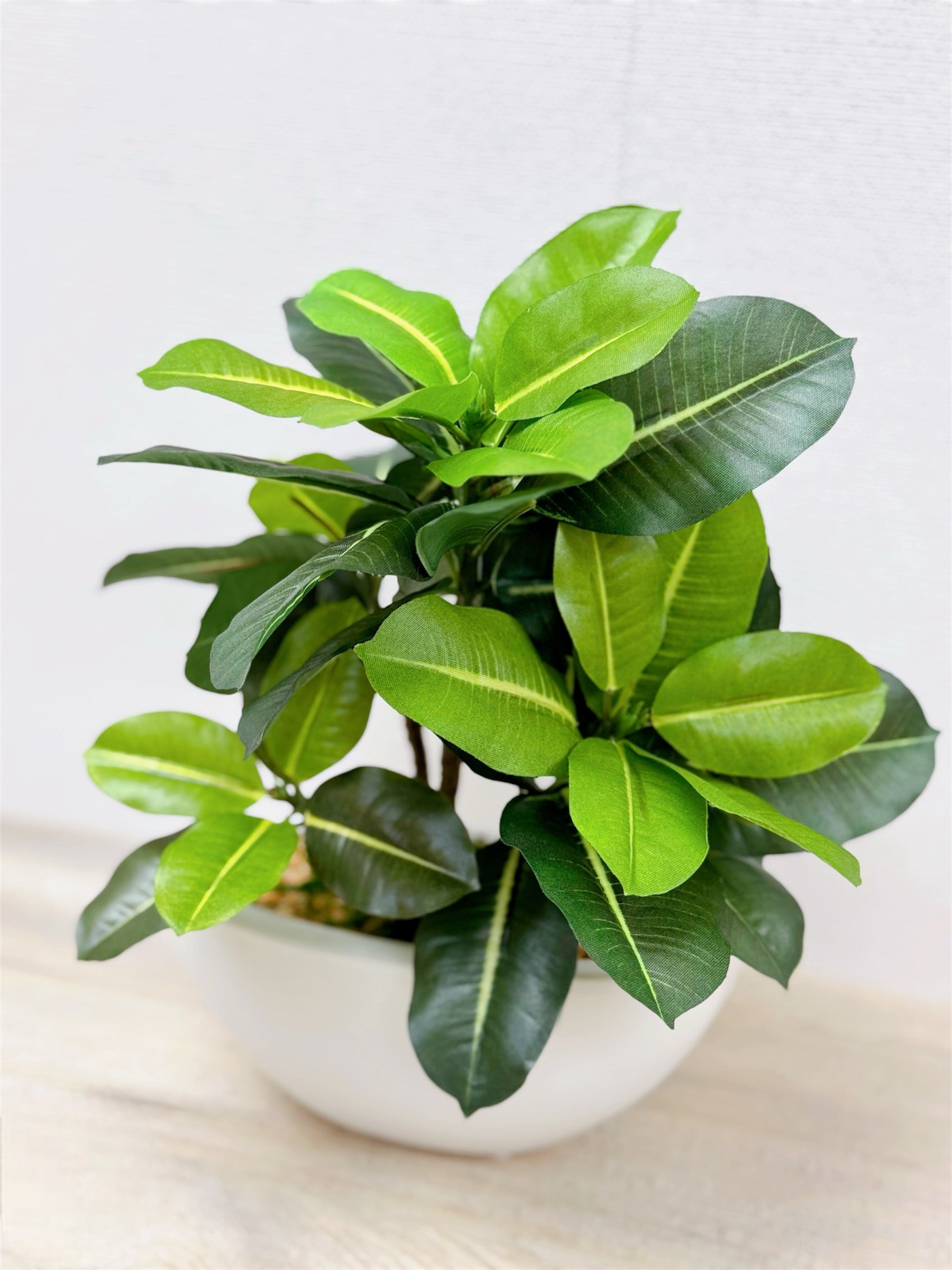【香港現貨】仿真橡葉陶瓷盆栽 (30cm) | 半月型設計盆 現代居家裝飾 Ficus Elastica - Midoria