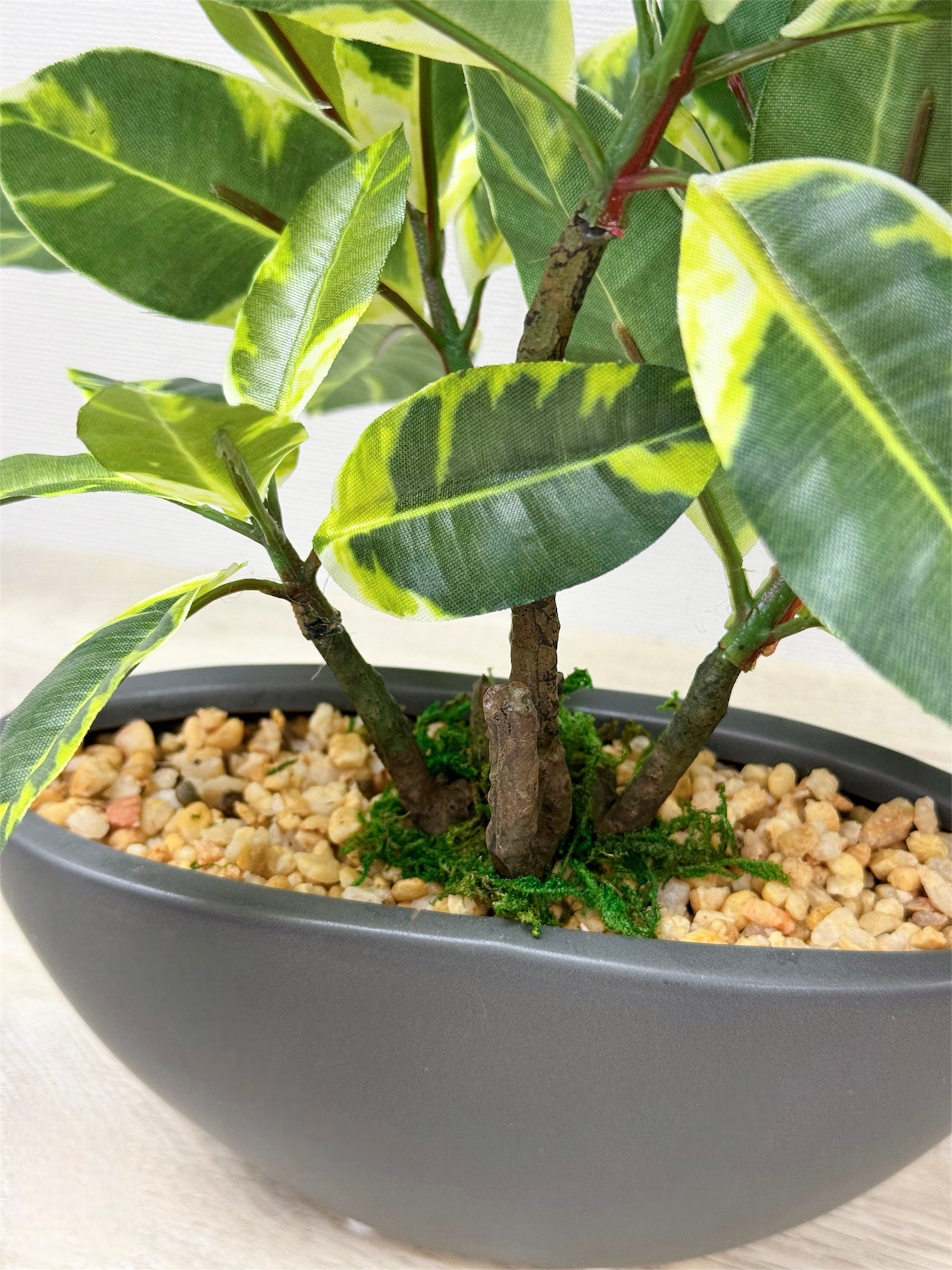 【香港現貨】仿真橡葉陶瓷盆栽 (30cm) | 半月型設計盆 現代居家裝飾 Ficus Elastica - Midoria