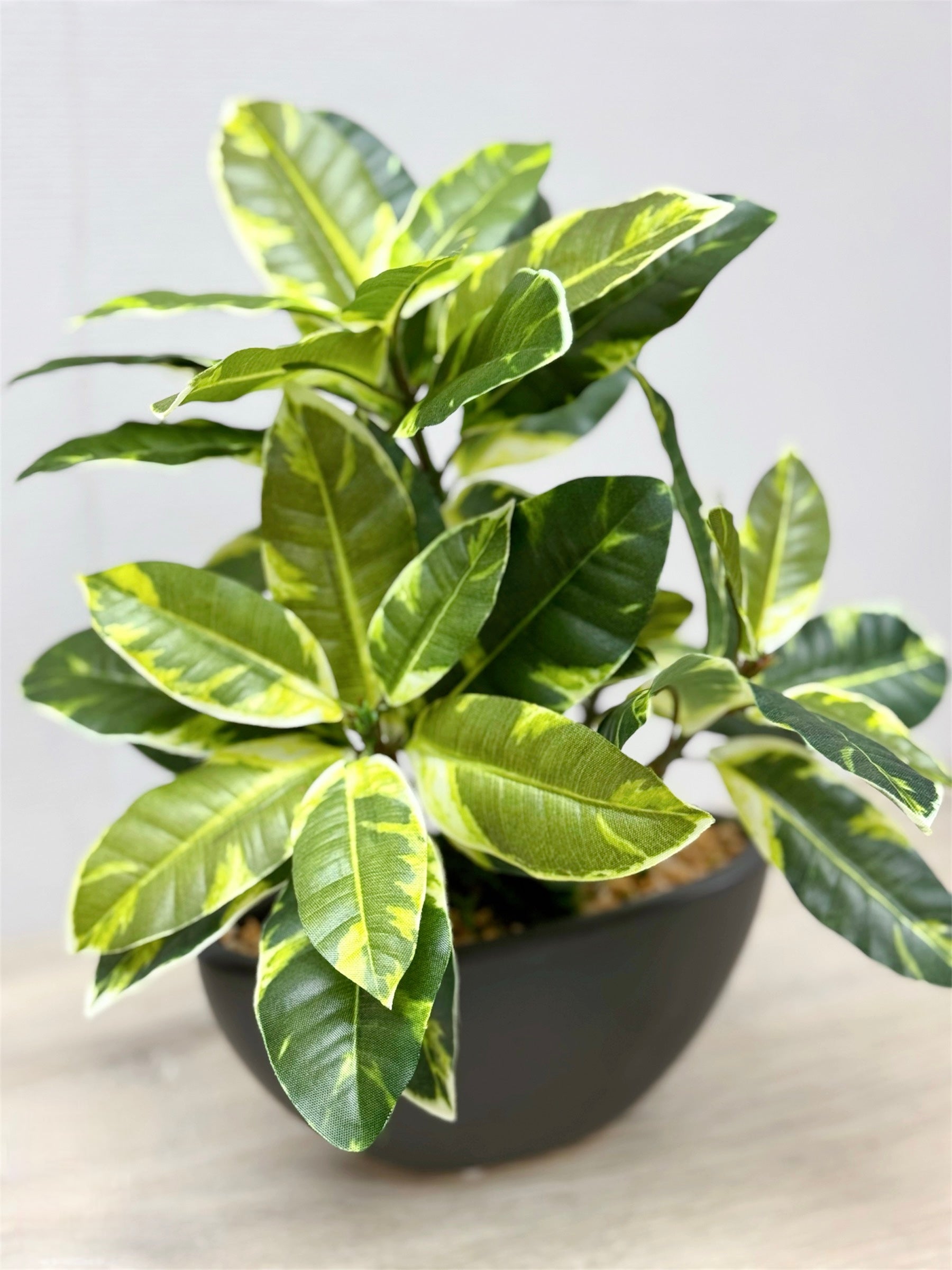 【香港現貨】仿真橡葉陶瓷盆栽 (30cm) | 半月型設計盆 現代居家裝飾 Ficus Elastica - Midoria