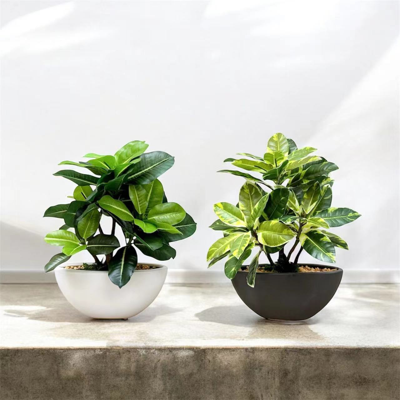 30cm 仿真橡葉盆栽 Ficus Elastica Potted Plant