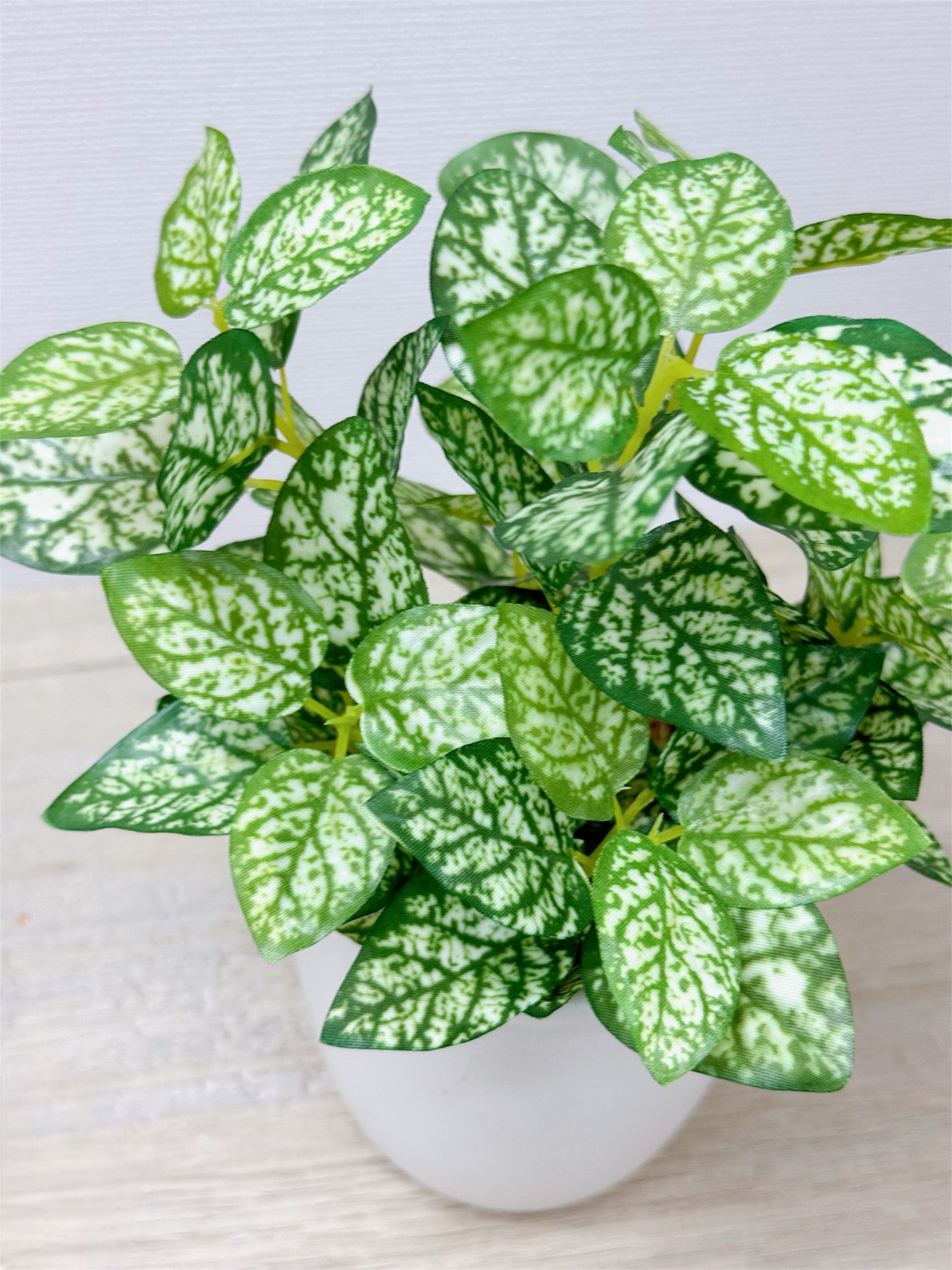 【香港現貨】北歐風仿真迷你盆栽 3件套 | 20cm Mini Artificial Potted Plants (Set of 3) - Midoria