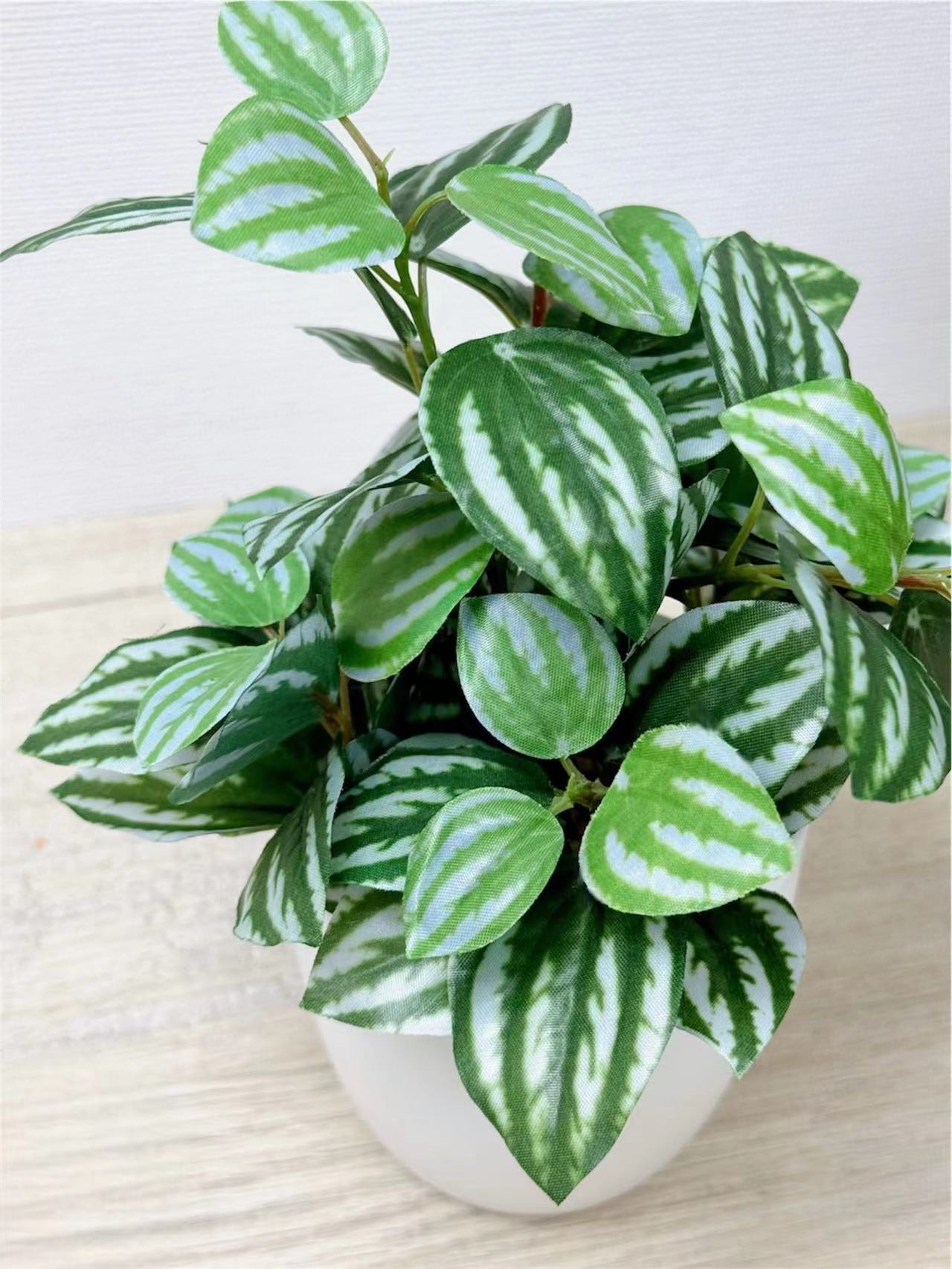 【香港現貨】北歐風仿真迷你盆栽 3件套 | 20cm Mini Artificial Potted Plants (Set of 3) - Midoria