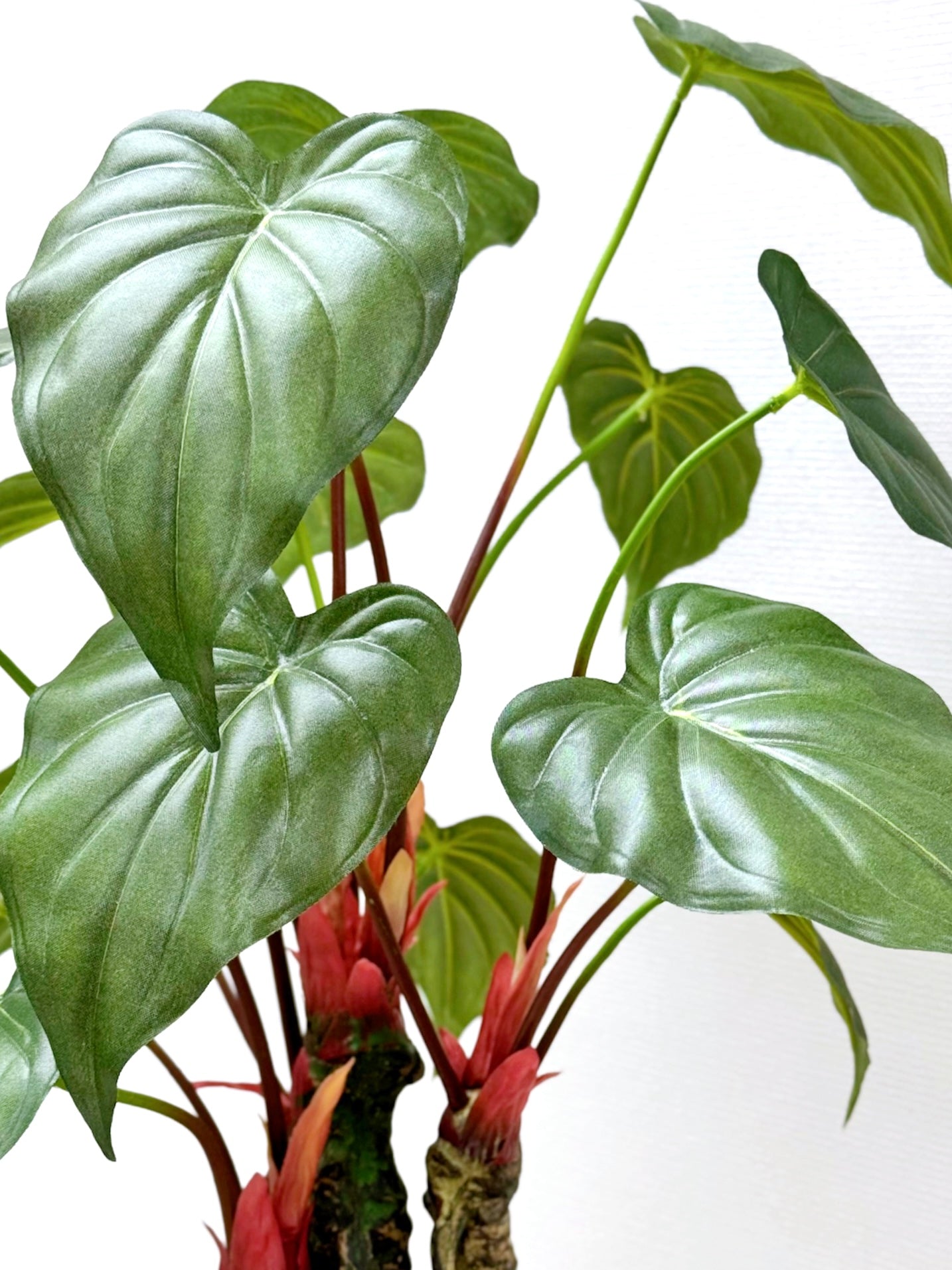 【香港現貨】仿真海芋陶瓷盆栽 (56cm) | 熱帶雨林風 高仿真 PU 材質 Alocasia - Midoria