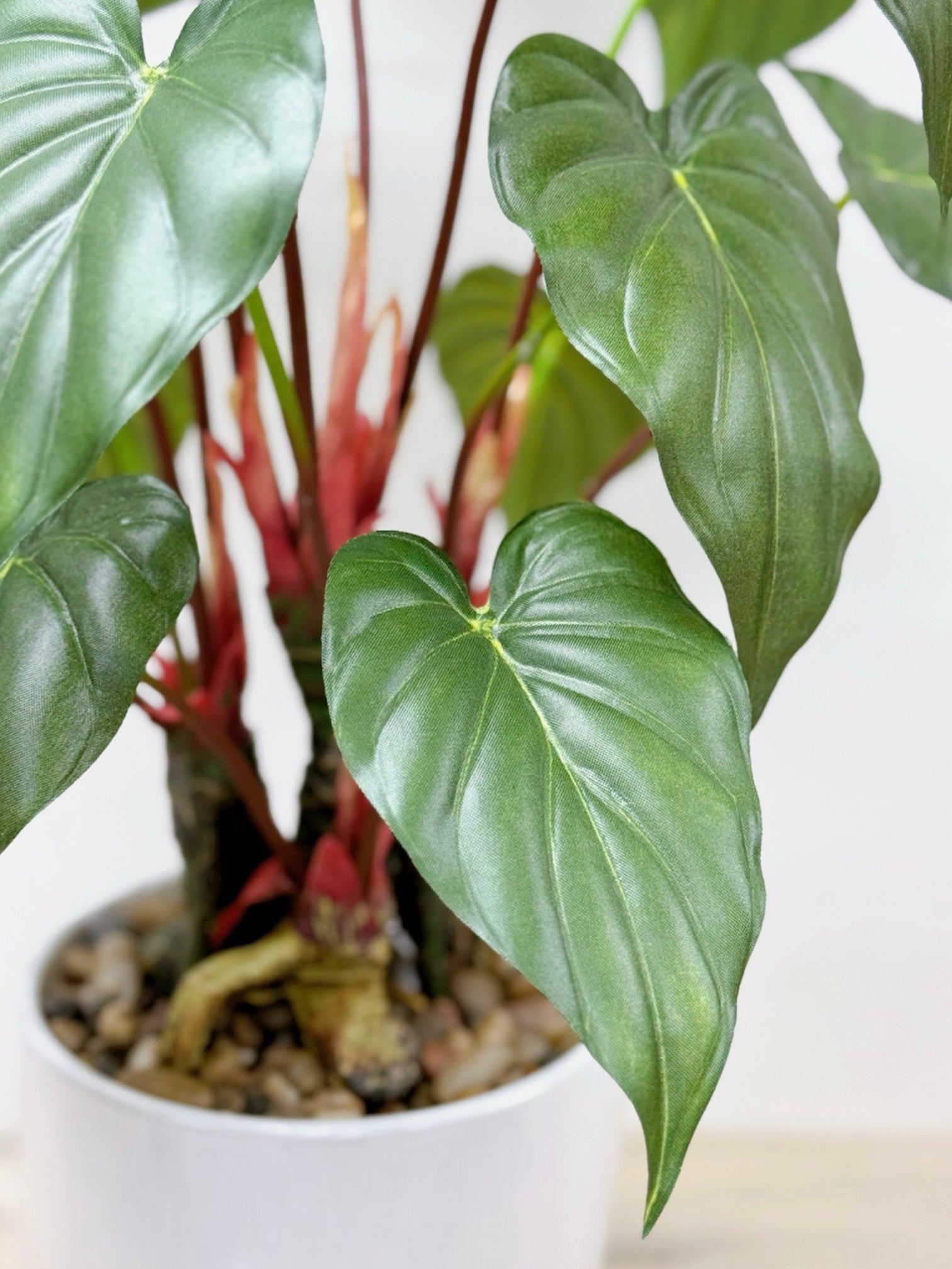 【香港現貨】仿真海芋陶瓷盆栽 (56cm) | 熱帶雨林風 高仿真 PU 材質 Alocasia - Midoria