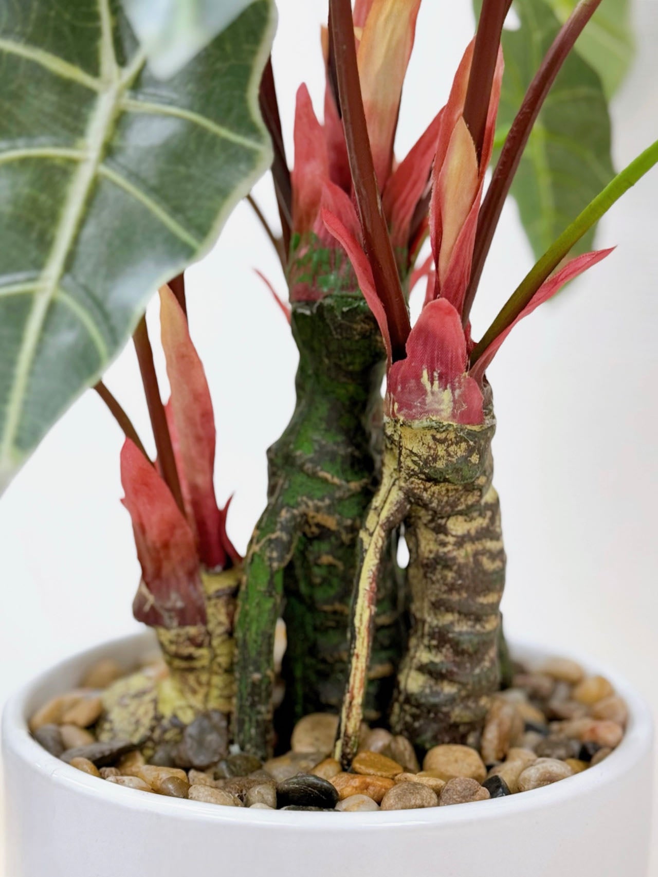 【香港現貨】仿真海芋陶瓷盆栽 (56cm) | 熱帶雨林風 高仿真 PU 材質 Alocasia - Midoria