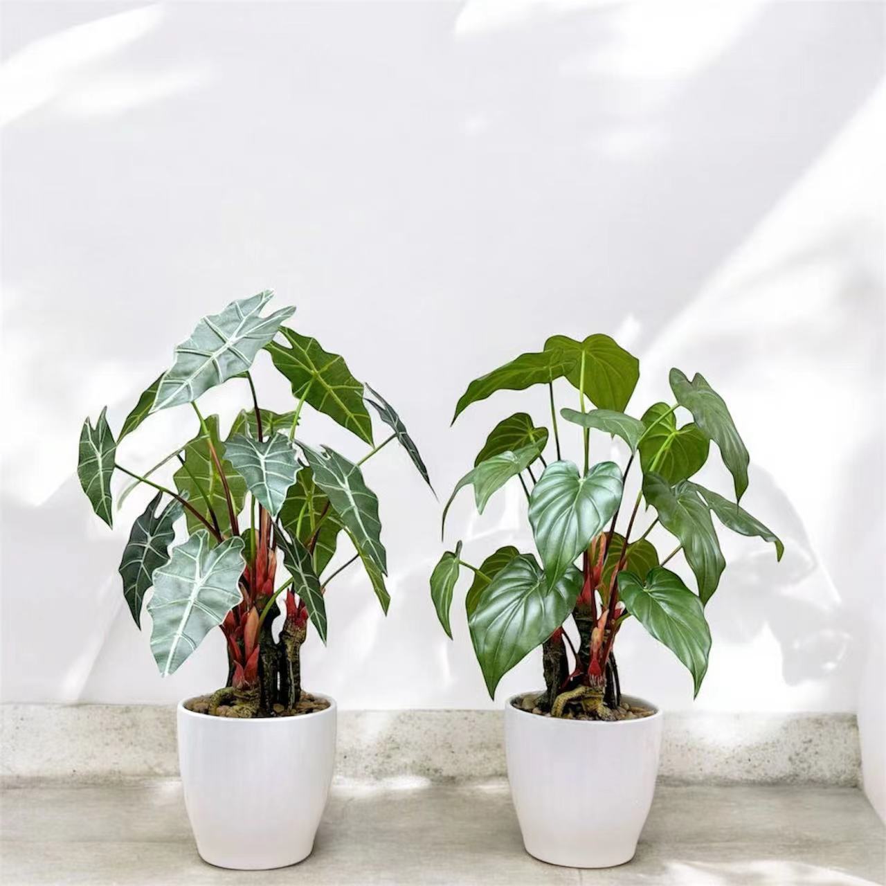 56cm 仿真海芋盆栽 Alocasia Potted Plant