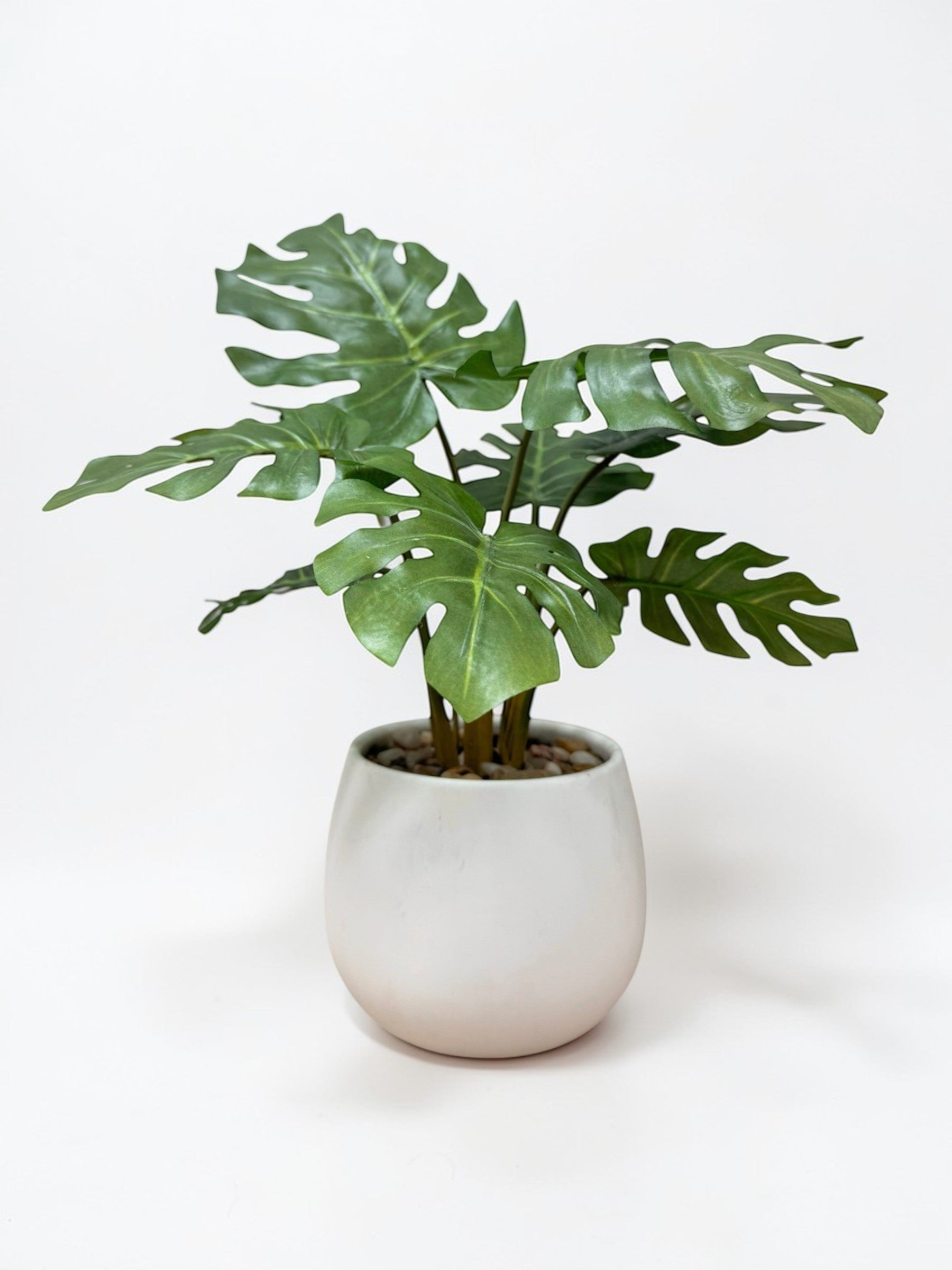 【香港現貨】仿真龜背芋陶瓷盆栽 (37cm) | 北歐風人造植物 鵝蛋型盆 Monstera - Midoria