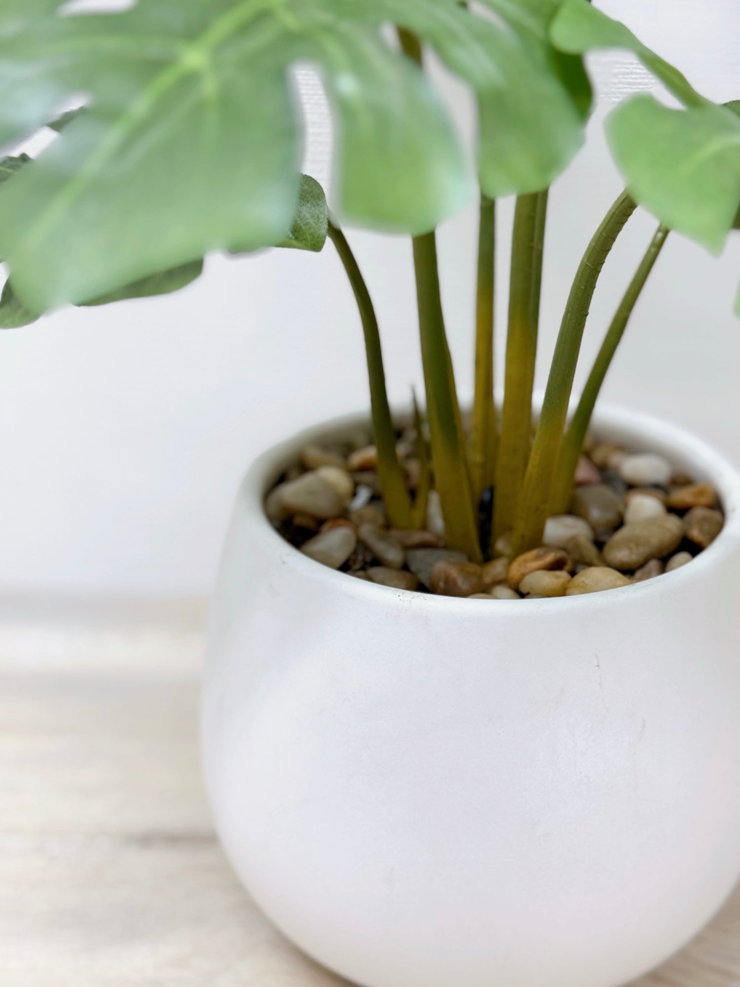 【香港現貨】仿真龜背芋陶瓷盆栽 (37cm) | 北歐風人造植物 鵝蛋型盆 Monstera - Midoria