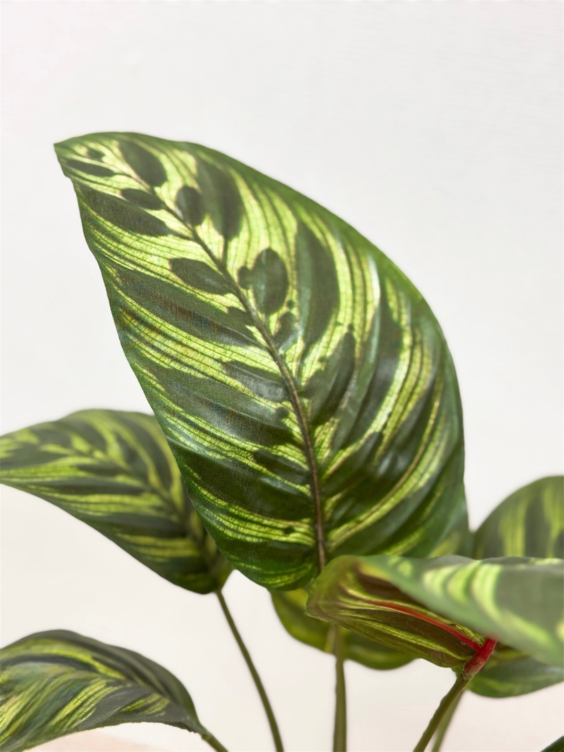 【香港現貨】仿真龜背芋陶瓷盆栽 (37cm) | 北歐風人造植物 鵝蛋型盆 Monstera - Midoria