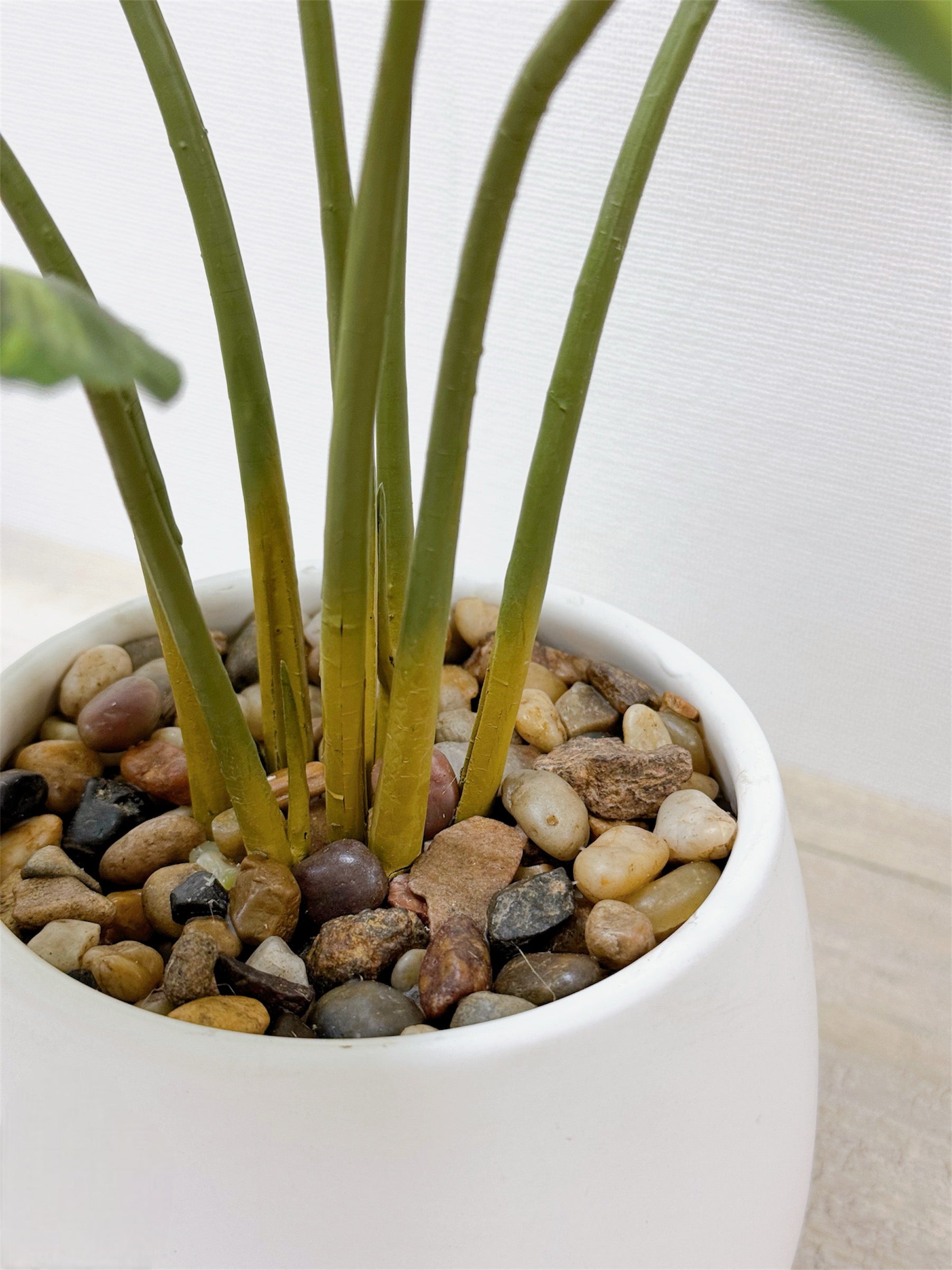 【香港現貨】仿真龜背芋陶瓷盆栽 (37cm) | 北歐風人造植物 鵝蛋型盆 Monstera - Midoria