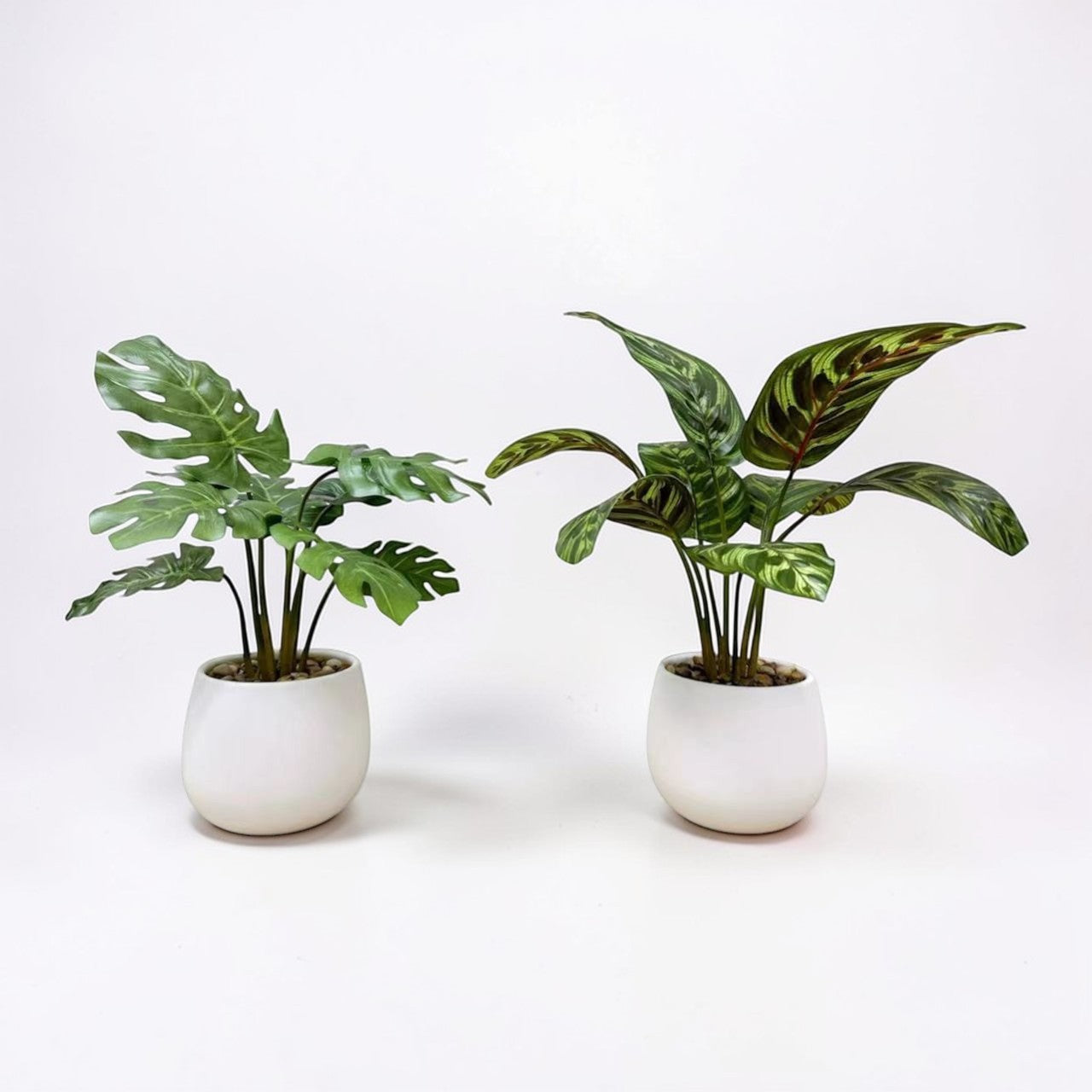 【香港現貨】仿真龜背芋陶瓷盆栽 (37cm) | 北歐風人造植物 鵝蛋型盆 Monstera - Midoria