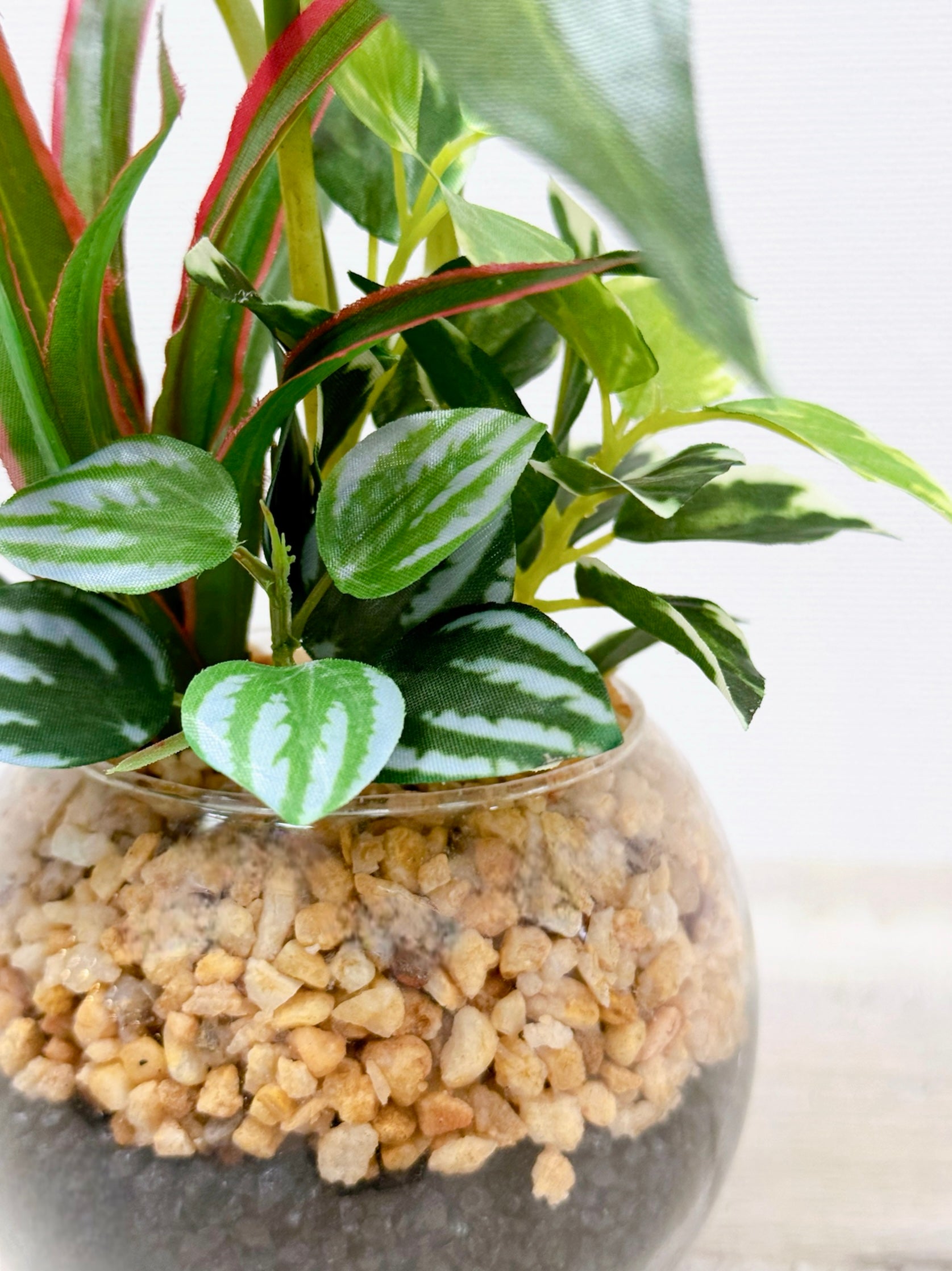 【香港現貨】仿真五彩芋玻璃盆栽 (23cm) | 北歐風人造植物 辦公室桌面裝飾 Caladium & Mini Leaf - Midoria